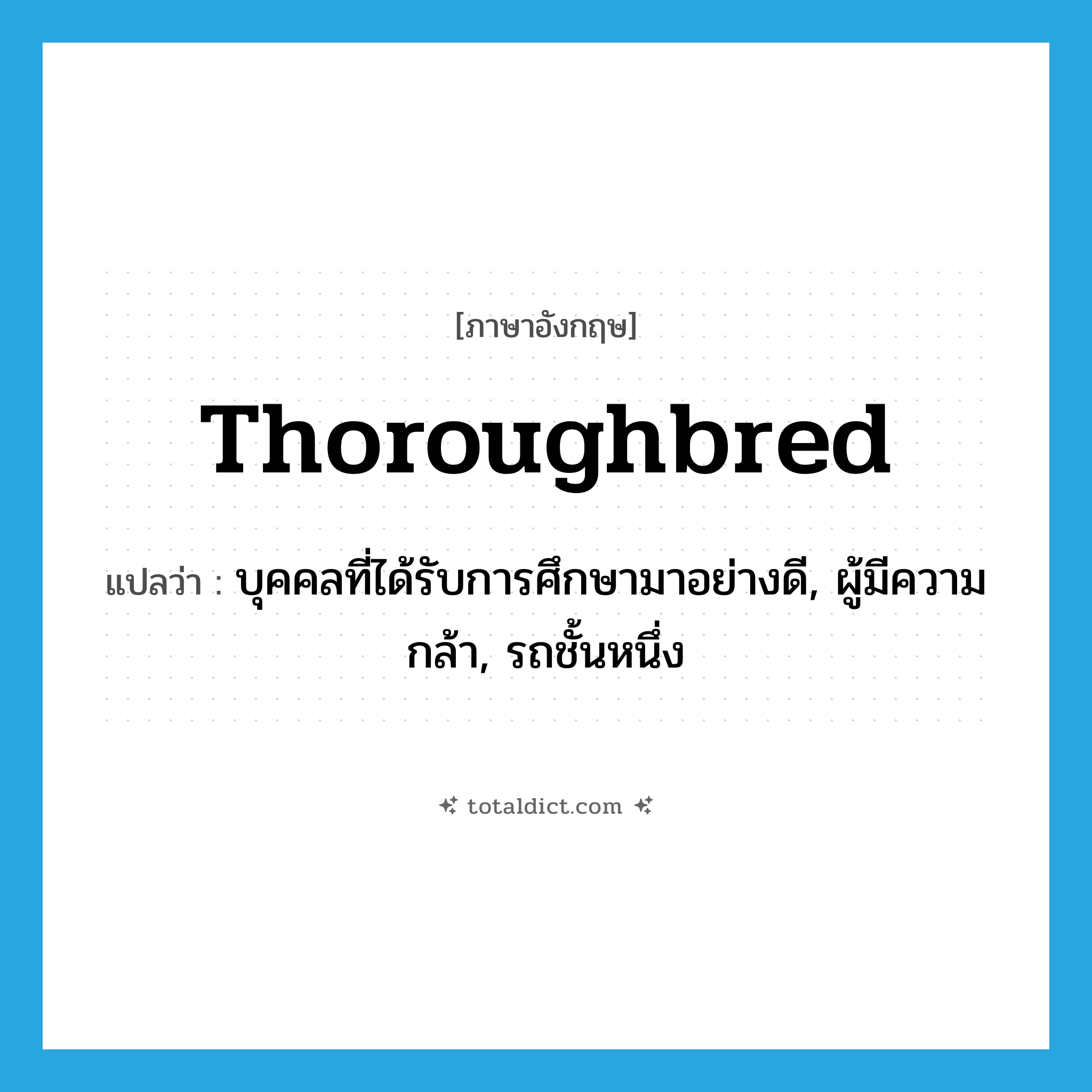 thoroughbred แปลว่า?, คำศัพท์ภาษาอังกฤษ thoroughbred แปลว่า บุคคลที่ได้รับการศึกษามาอย่างดี, ผู้มีความกล้า, รถชั้นหนึ่ง ประเภท N หมวด N