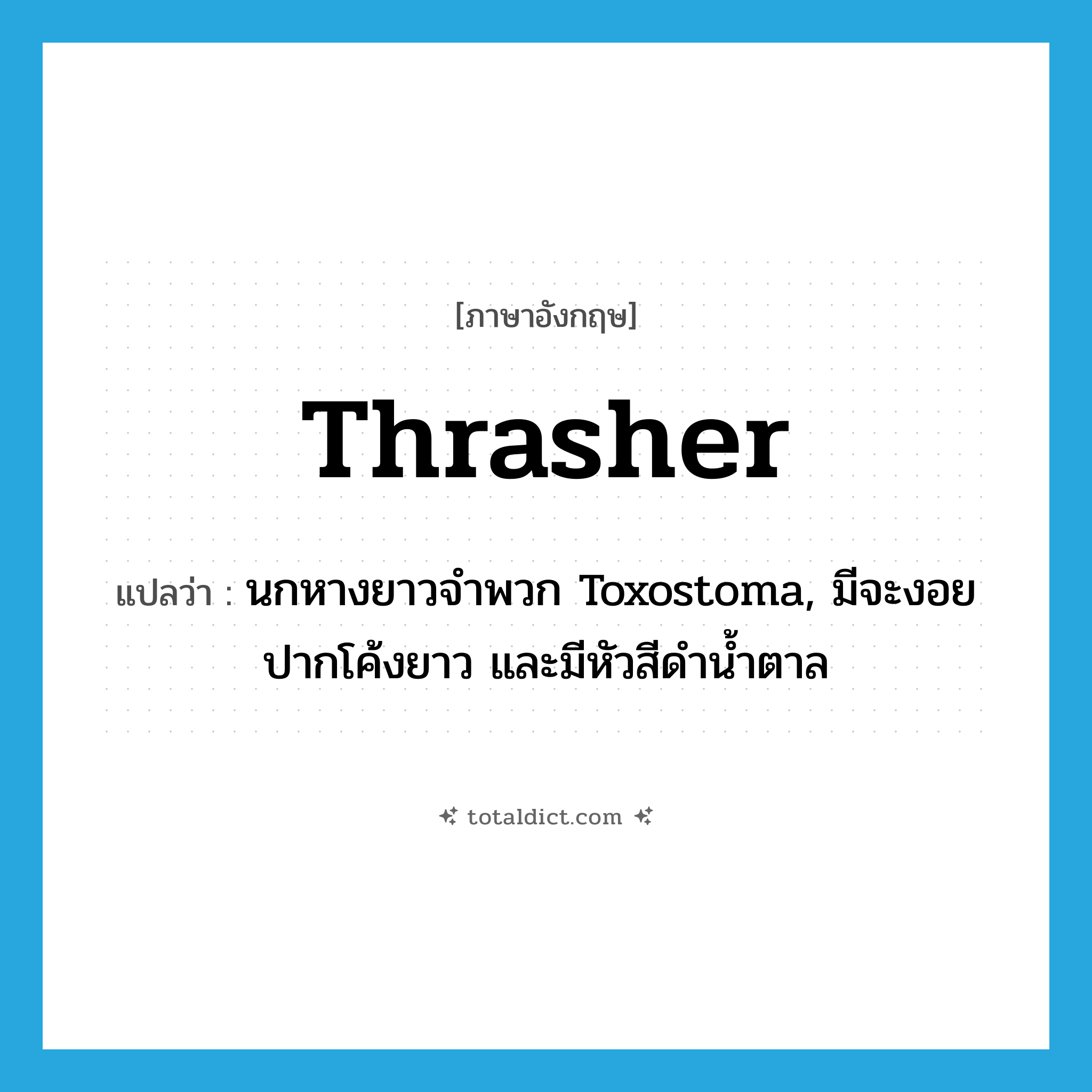 thrasher แปลว่า?, คำศัพท์ภาษาอังกฤษ thrasher แปลว่า นกหางยาวจำพวก Toxostoma, มีจะงอยปากโค้งยาว และมีหัวสีดำน้ำตาล ประเภท N หมวด N