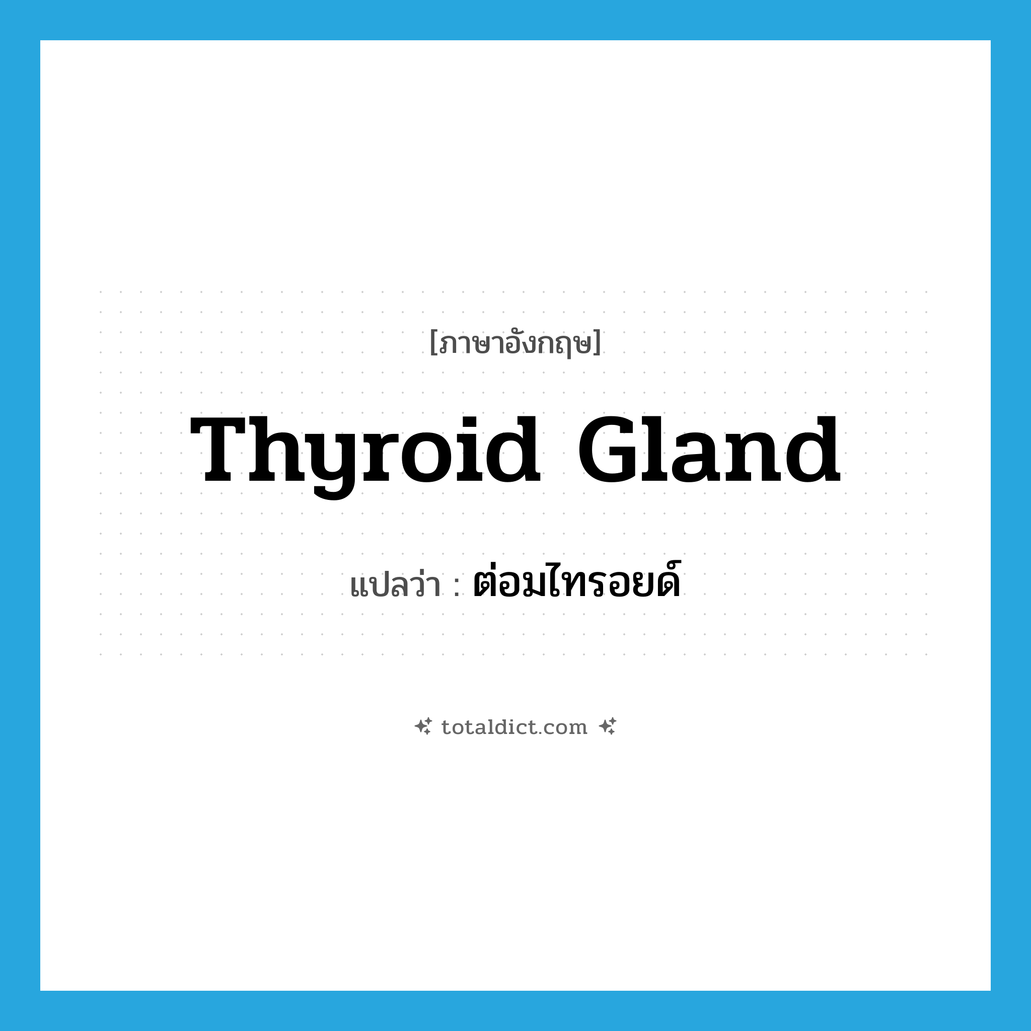thyroid gland แปลว่า?, คำศัพท์ภาษาอังกฤษ thyroid gland แปลว่า ต่อมไทรอยด์ ประเภท N หมวด N