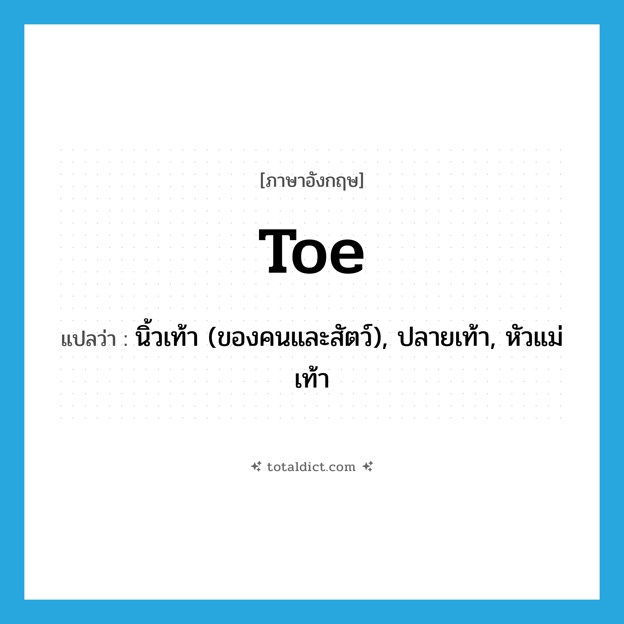 toe แปลว่า?, คำศัพท์ภาษาอังกฤษ toe แปลว่า นิ้วเท้า (ของคนและสัตว์), ปลายเท้า, หัวแม่เท้า ประเภท N หมวด N
