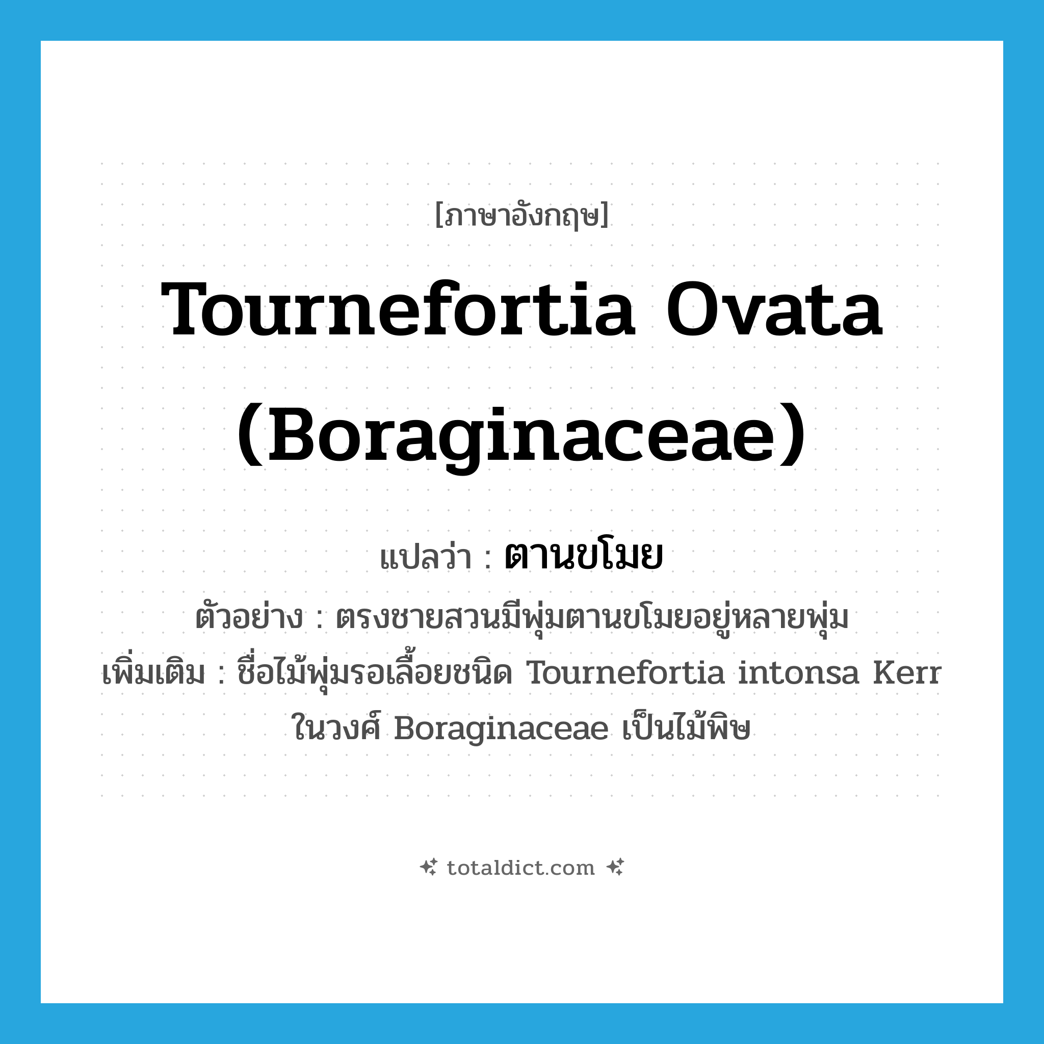 ตานขโมย ภาษาอังกฤษ?, คำศัพท์ภาษาอังกฤษ ตานขโมย แปลว่า Tournefortia ovata (Boraginaceae) ประเภท N ตัวอย่าง ตรงชายสวนมีพุ่มตานขโมยอยู่หลายพุ่ม เพิ่มเติม ชื่อไม้พุ่มรอเลื้อยชนิด Tournefortia intonsa Kerr ในวงศ์ Boraginaceae เป็นไม้พิษ หมวด N