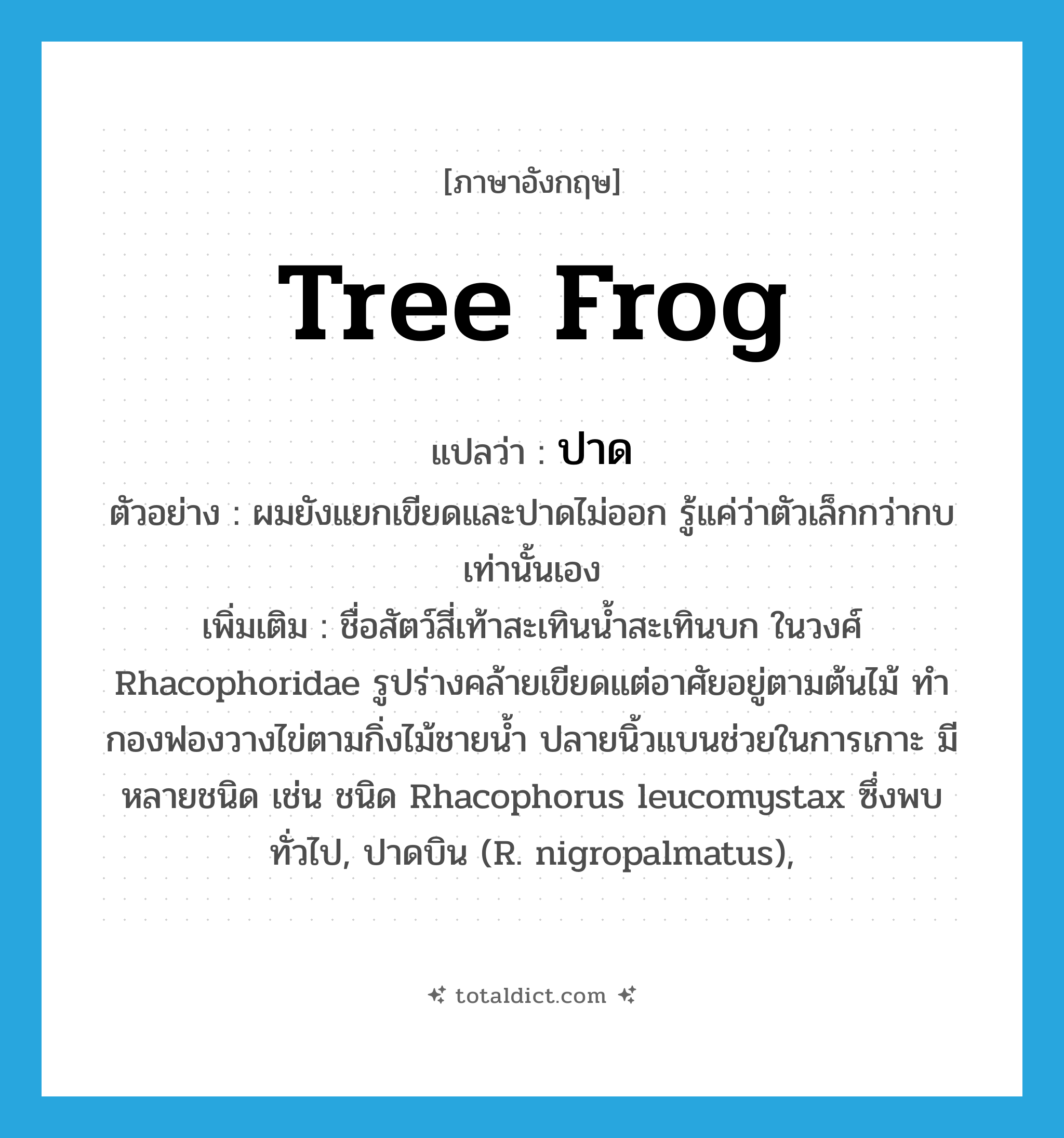 tree frog แปลว่า?, คำศัพท์ภาษาอังกฤษ tree frog แปลว่า ปาด ประเภท N ตัวอย่าง ผมยังแยกเขียดและปาดไม่ออก รู้แค่ว่าตัวเล็กกว่ากบเท่านั้นเอง เพิ่มเติม ชื่อสัตว์สี่เท้าสะเทินน้ำสะเทินบก ในวงศ์ Rhacophoridae รูปร่างคล้ายเขียดแต่อาศัยอยู่ตามต้นไม้ ทำกองฟองวางไข่ตามกิ่งไม้ชายน้ำ ปลายนิ้วแบนช่วยในการเกาะ มีหลายชนิด เช่น ชนิด Rhacophorus leucomystax ซึ่งพบทั่วไป, ปาดบิน (R. nigropalmatus), หมวด N
