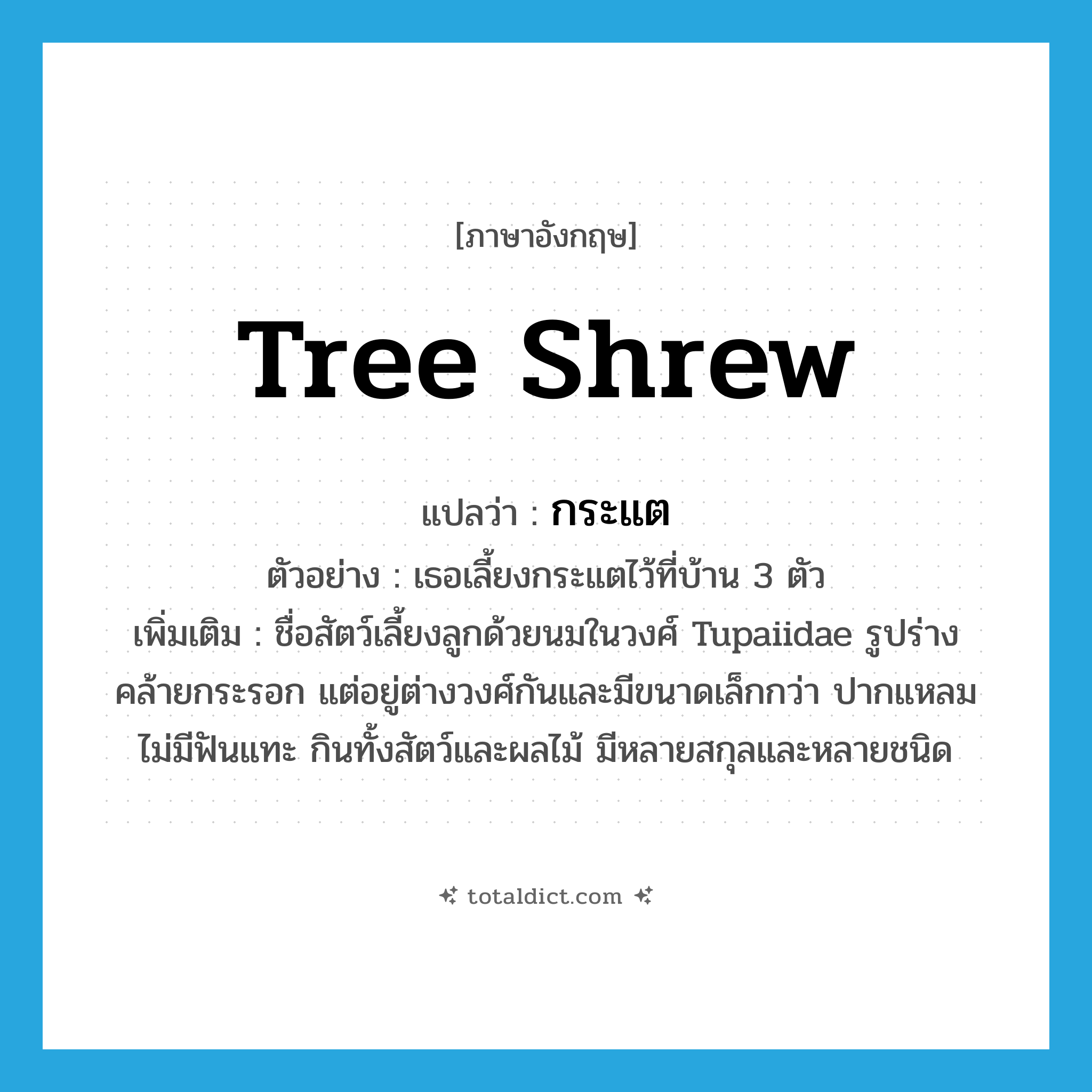 tree shrew แปลว่า?, คำศัพท์ภาษาอังกฤษ tree shrew แปลว่า กระแต ประเภท N ตัวอย่าง เธอเลี้ยงกระแตไว้ที่บ้าน 3 ตัว เพิ่มเติม ชื่อสัตว์เลี้ยงลูกด้วยนมในวงศ์ Tupaiidae รูปร่างคล้ายกระรอก แต่อยู่ต่างวงศ์กันและมีขนาดเล็กกว่า ปากแหลม ไม่มีฟันแทะ กินทั้งสัตว์และผลไม้ มีหลายสกุลและหลายชนิด หมวด N