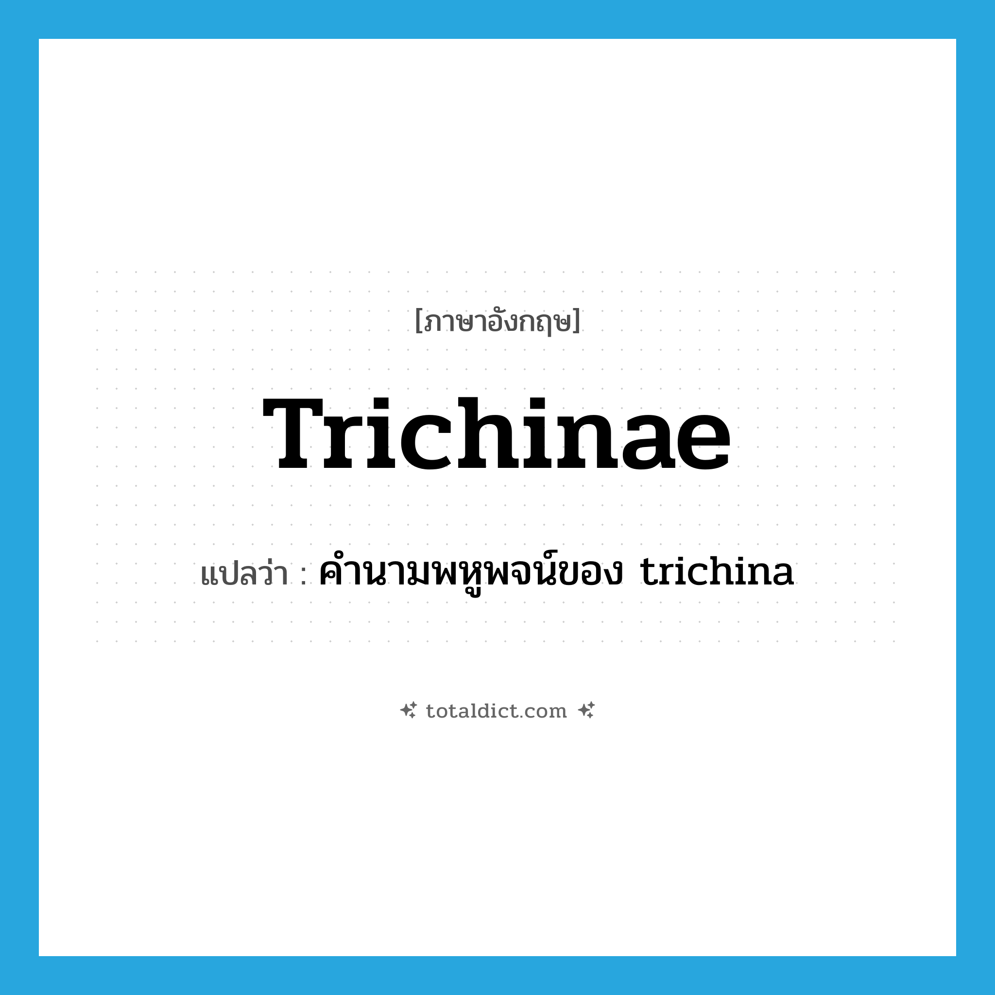 trichinae แปลว่า?, คำศัพท์ภาษาอังกฤษ trichinae แปลว่า คำนามพหูพจน์ของ trichina ประเภท N หมวด N