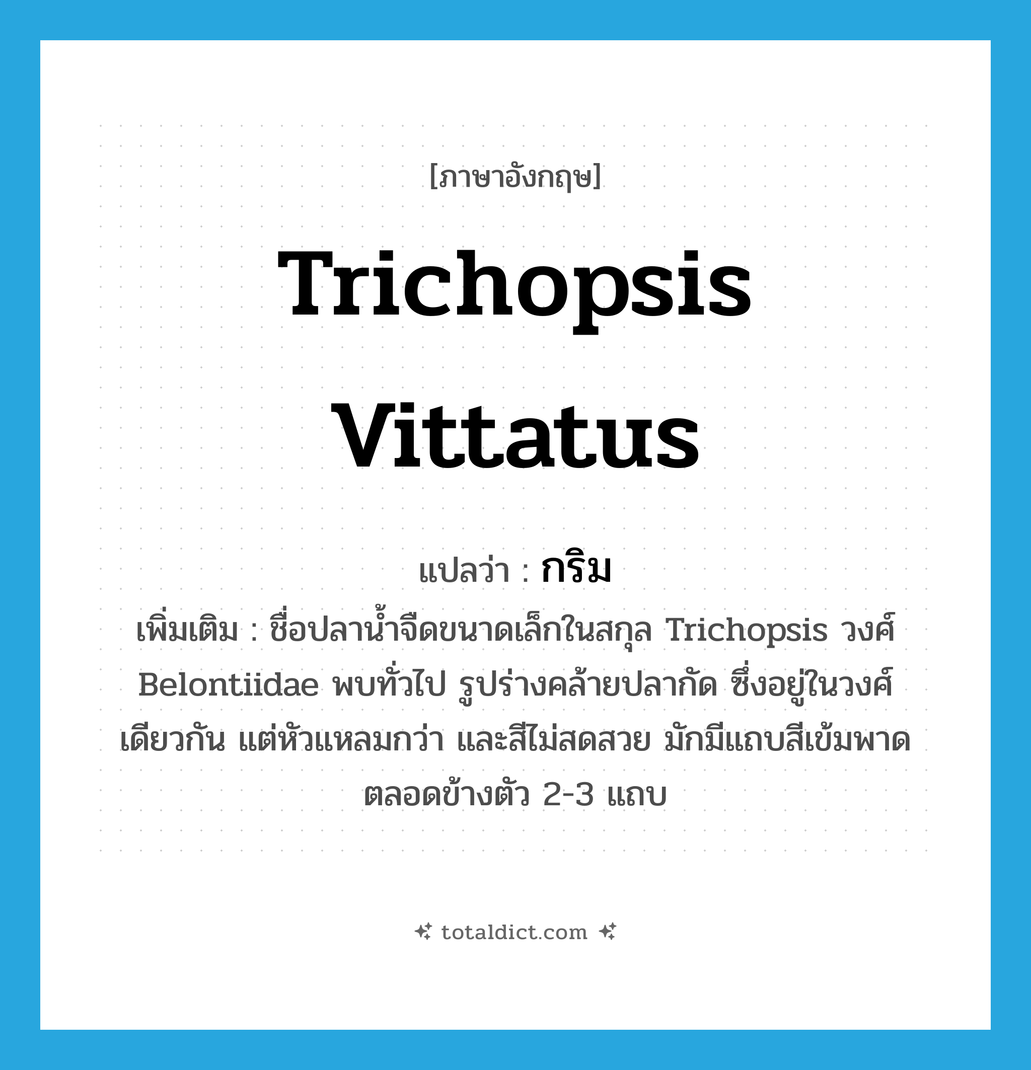 Trichopsis vittatus แปลว่า?, คำศัพท์ภาษาอังกฤษ Trichopsis vittatus แปลว่า กริม ประเภท N เพิ่มเติม ชื่อปลาน้ำจืดขนาดเล็กในสกุล Trichopsis วงศ์ Belontiidae พบทั่วไป รูปร่างคล้ายปลากัด ซึ่งอยู่ในวงศ์เดียวกัน แต่หัวแหลมกว่า และสีไม่สดสวย มักมีแถบสีเข้มพาดตลอดข้างตัว 2-3 แถบ หมวด N