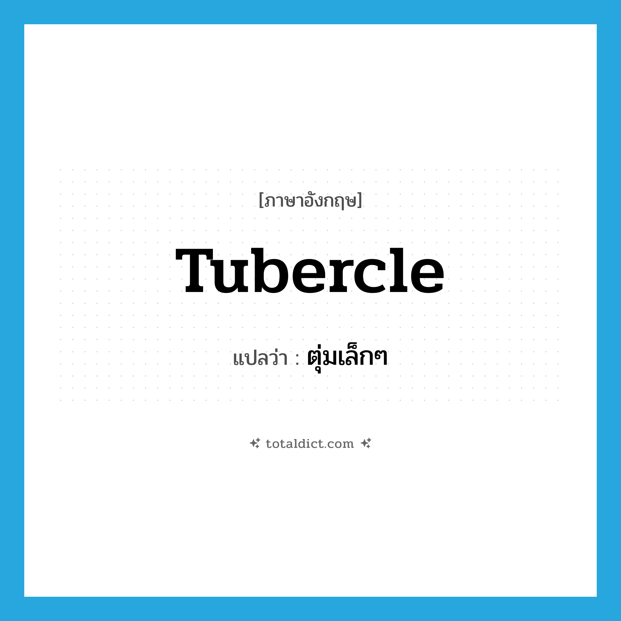 tubercle แปลว่า?, คำศัพท์ภาษาอังกฤษ tubercle แปลว่า ตุ่มเล็กๆ ประเภท N หมวด N