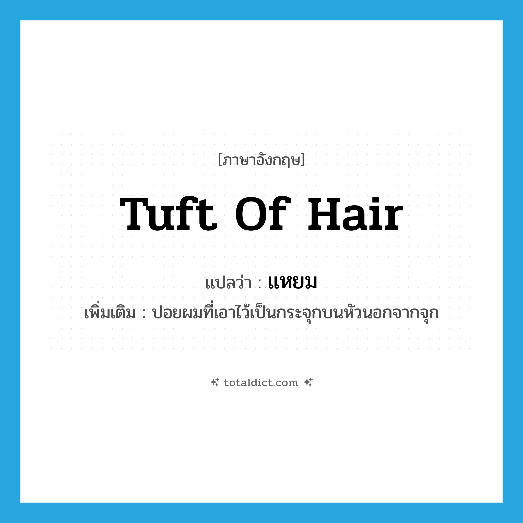 tuft of hair แปลว่า?, คำศัพท์ภาษาอังกฤษ tuft of hair แปลว่า แหยม ประเภท N เพิ่มเติม ปอยผมที่เอาไว้เป็นกระจุกบนหัวนอกจากจุก หมวด N