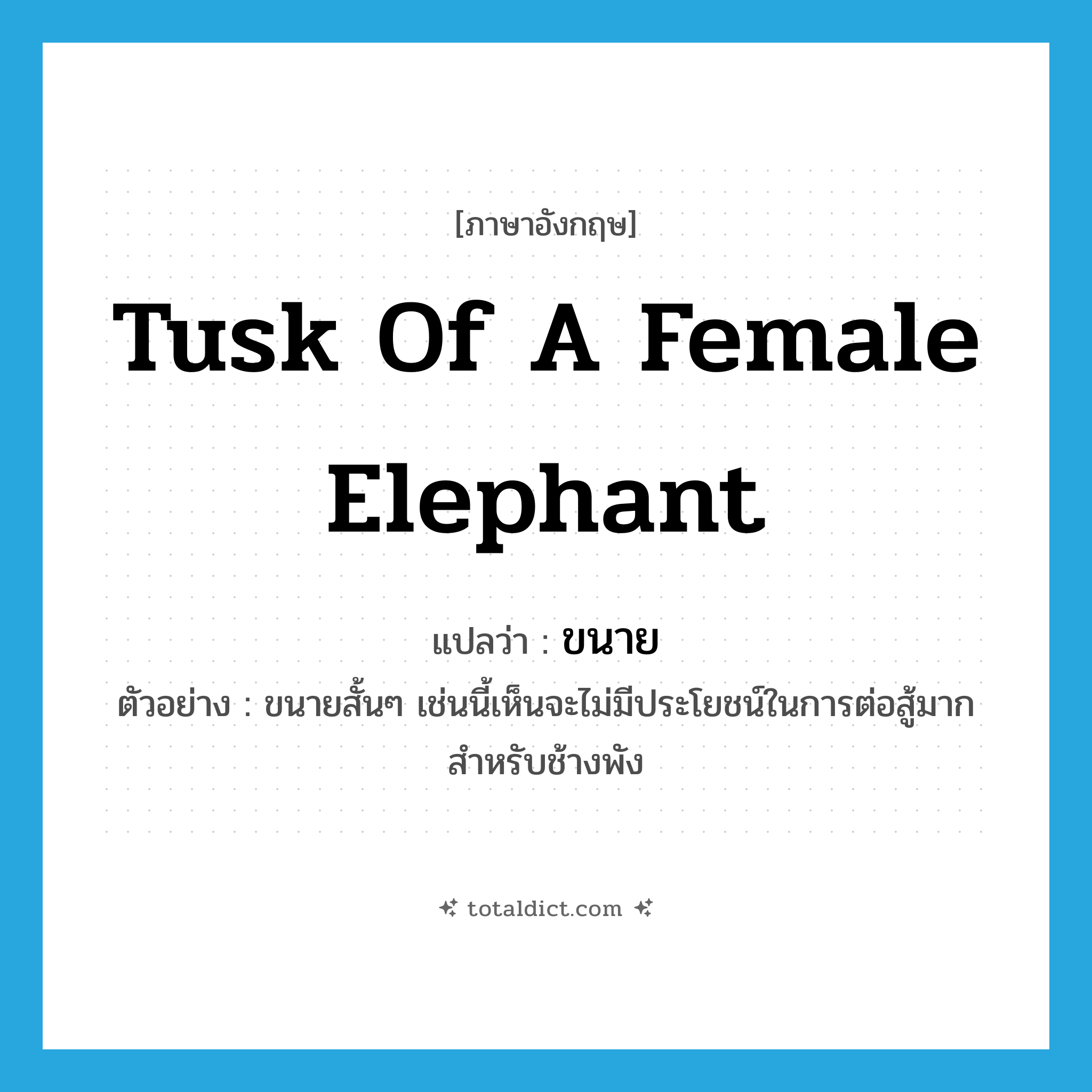 tusk of a female elephant แปลว่า?, คำศัพท์ภาษาอังกฤษ tusk of a female elephant แปลว่า ขนาย ประเภท N ตัวอย่าง ขนายสั้นๆ เช่นนี้เห็นจะไม่มีประโยชน์ในการต่อสู้มากสำหรับช้างพัง หมวด N