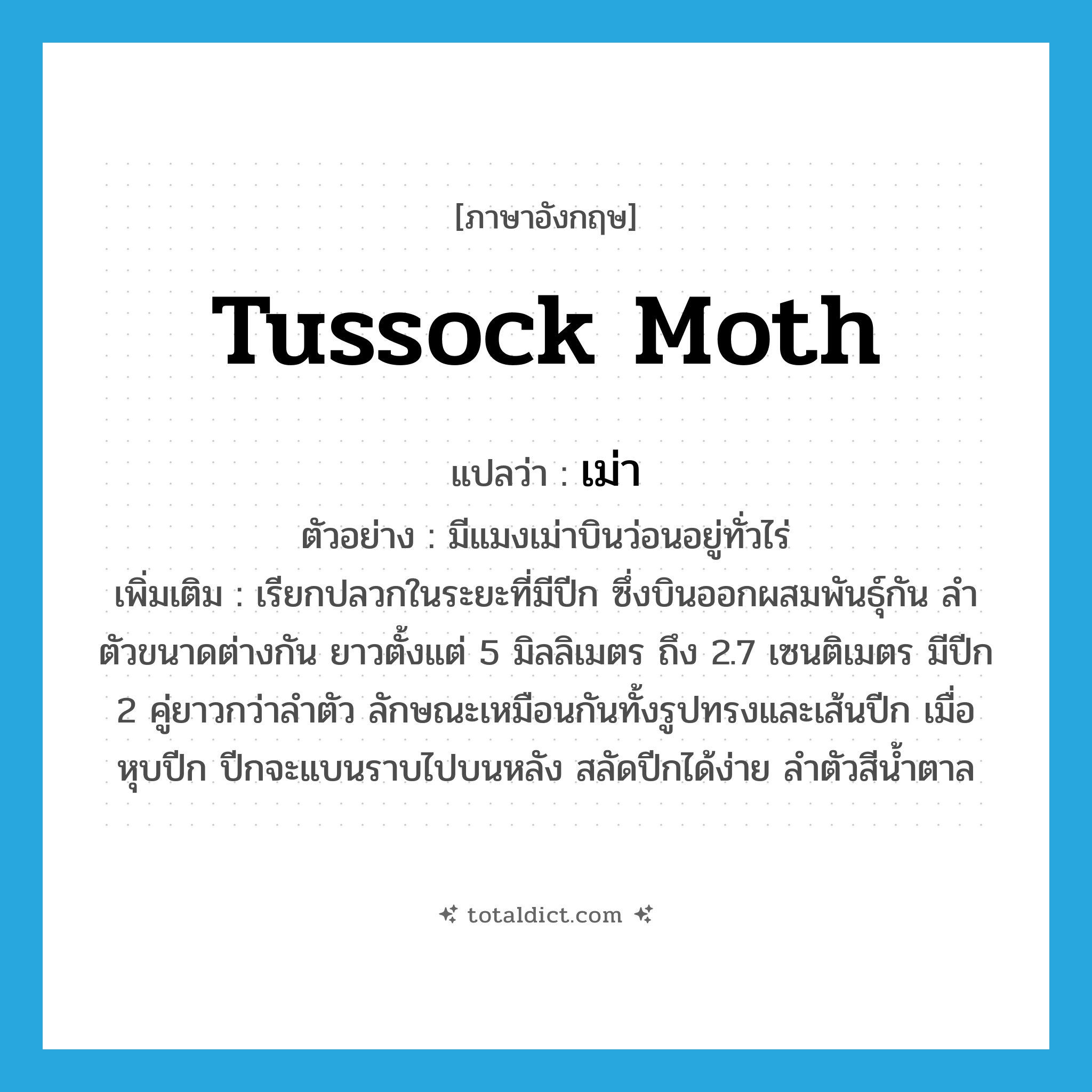 tussock moth แปลว่า?, คำศัพท์ภาษาอังกฤษ tussock moth แปลว่า เม่า ประเภท N ตัวอย่าง มีแมงเม่าบินว่อนอยู่ทั่วไร่ เพิ่มเติม เรียกปลวกในระยะที่มีปีก ซึ่งบินออกผสมพันธุ์กัน ลำตัวขนาดต่างกัน ยาวตั้งแต่ 5 มิลลิเมตร ถึง 2.7 เซนติเมตร มีปีก 2 คู่ยาวกว่าลำตัว ลักษณะเหมือนกันทั้งรูปทรงและเส้นปีก เมื่อหุบปีก ปีกจะแบนราบไปบนหลัง สลัดปีกได้ง่าย ลำตัวสีน้ำตาล หมวด N