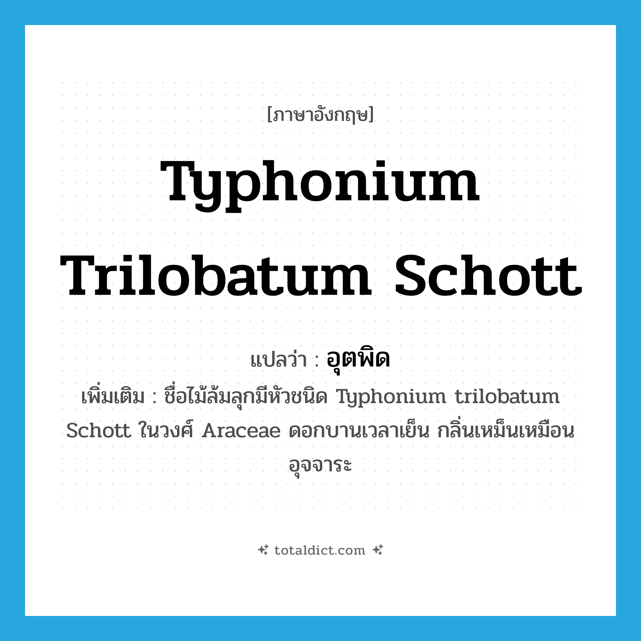 Typhonium trilobatum Schott แปลว่า?, คำศัพท์ภาษาอังกฤษ Typhonium trilobatum Schott แปลว่า อุตพิด ประเภท N เพิ่มเติม ชื่อไม้ล้มลุกมีหัวชนิด Typhonium trilobatum Schott ในวงศ์ Araceae ดอกบานเวลาเย็น กลิ่นเหม็นเหมือนอุจจาระ หมวด N