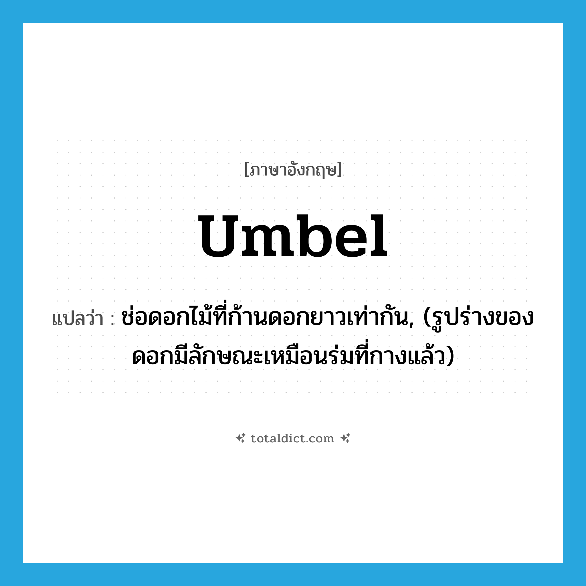 umbel แปลว่า?, คำศัพท์ภาษาอังกฤษ umbel แปลว่า ช่อดอกไม้ที่ก้านดอกยาวเท่ากัน, (รูปร่างของดอกมีลักษณะเหมือนร่มที่กางแล้ว) ประเภท N หมวด N