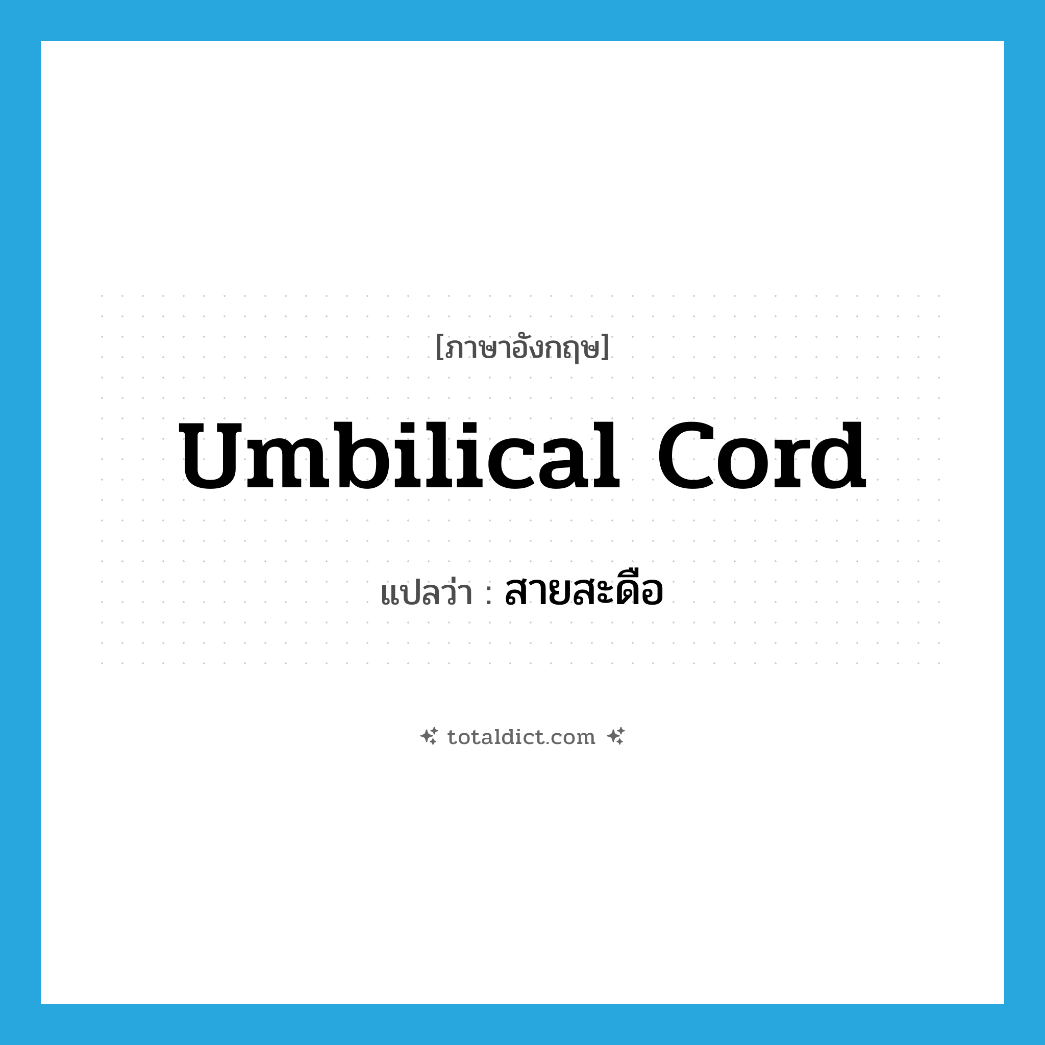 umbilical cord แปลว่า?, คำศัพท์ภาษาอังกฤษ umbilical cord แปลว่า สายสะดือ ประเภท N หมวด N
