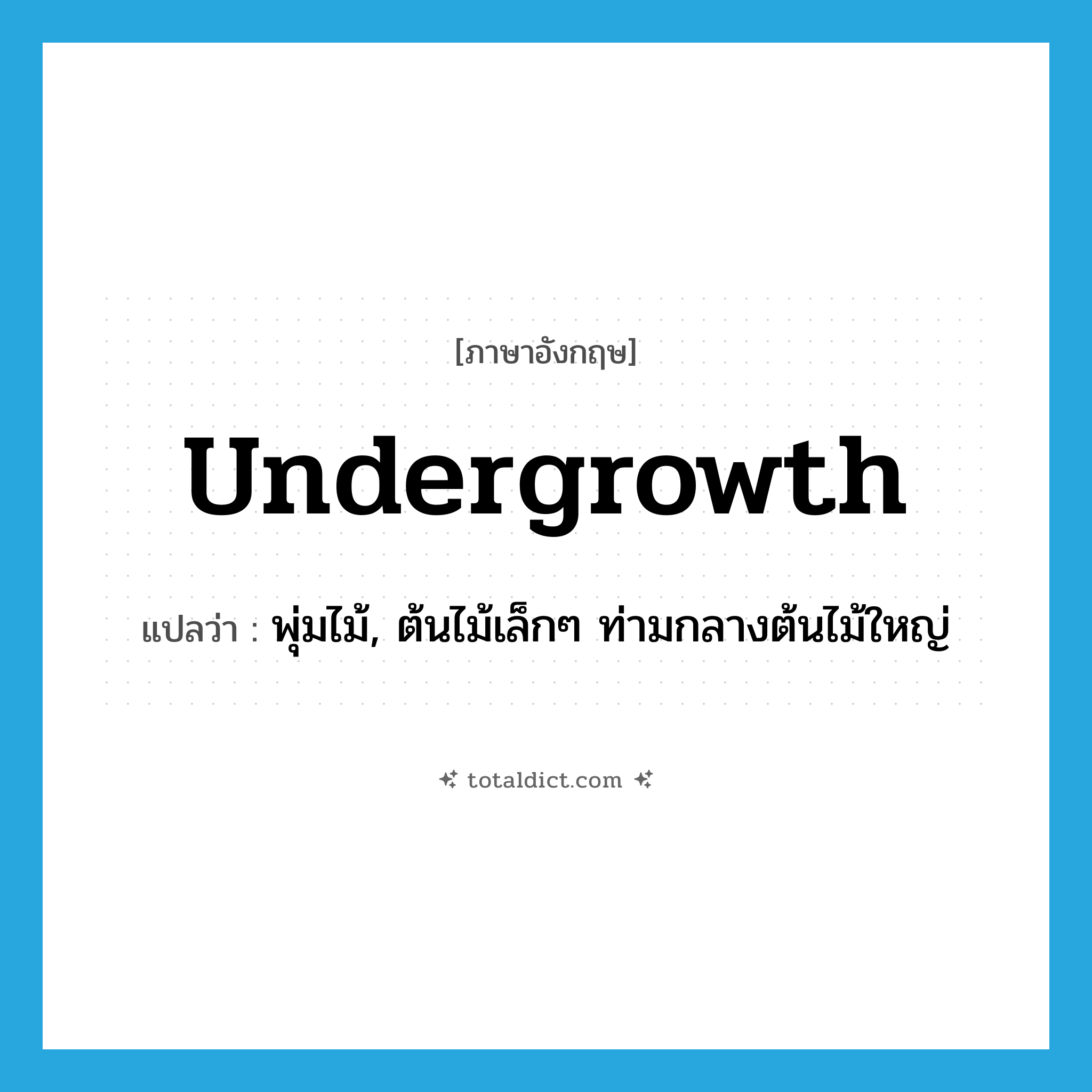 undergrowth แปลว่า?, คำศัพท์ภาษาอังกฤษ undergrowth แปลว่า พุ่มไม้, ต้นไม้เล็กๆ ท่ามกลางต้นไม้ใหญ่ ประเภท N หมวด N