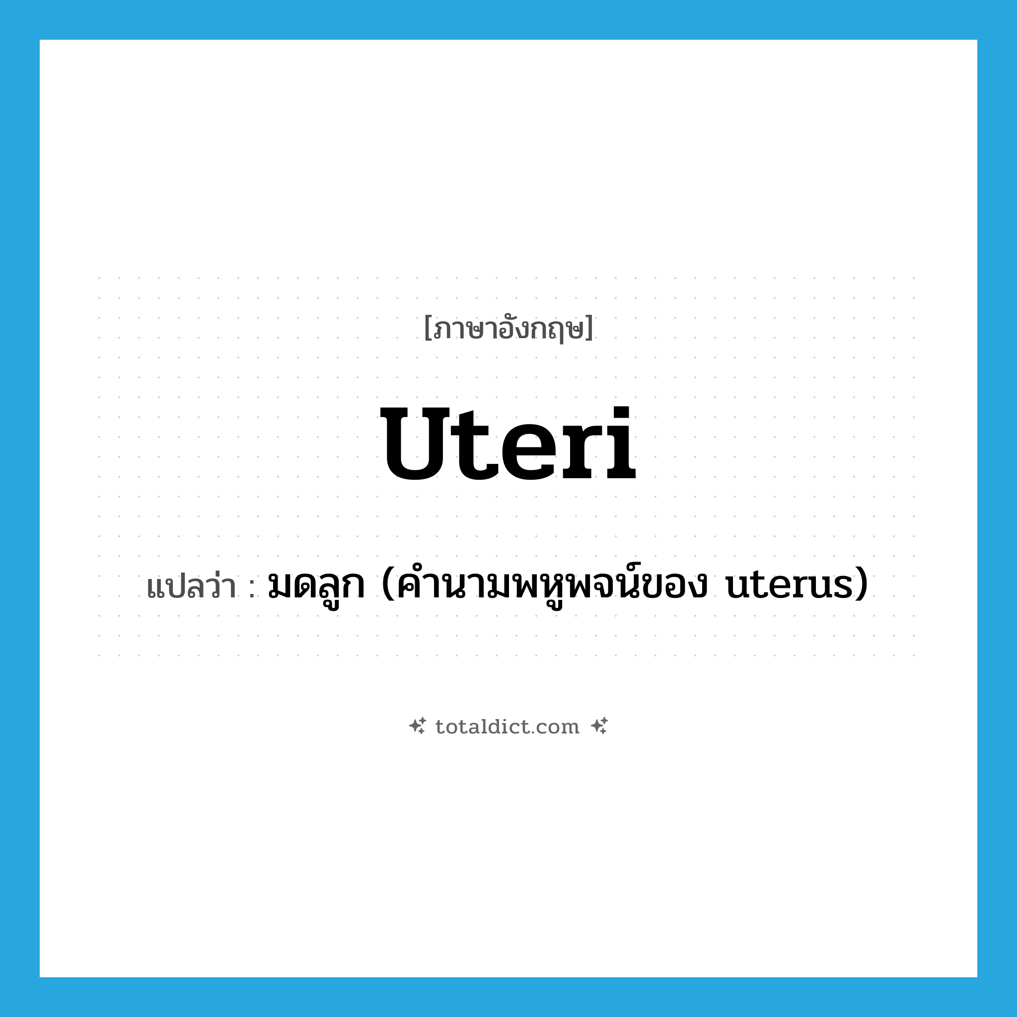 uteri แปลว่า?, คำศัพท์ภาษาอังกฤษ uteri แปลว่า มดลูก (คำนามพหูพจน์ของ uterus) ประเภท N หมวด N