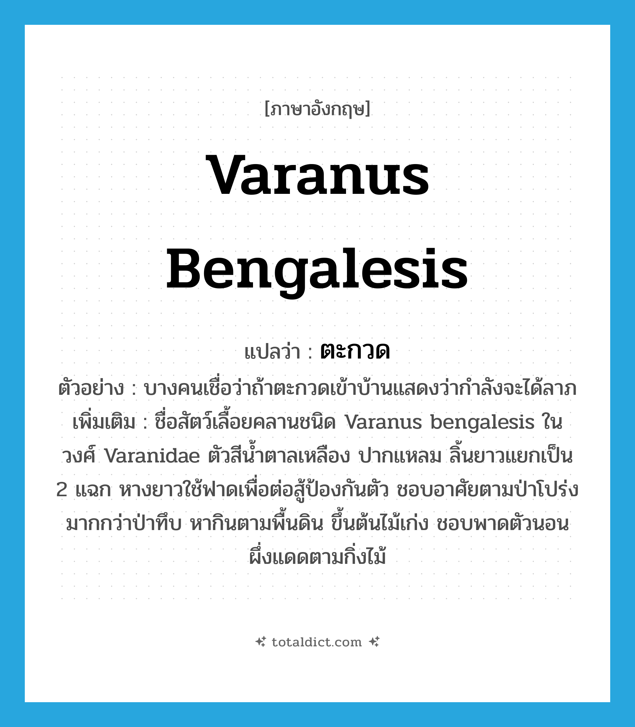 Varanus bengalesis แปลว่า?, คำศัพท์ภาษาอังกฤษ Varanus bengalesis แปลว่า ตะกวด ประเภท N ตัวอย่าง บางคนเชื่อว่าถ้าตะกวดเข้าบ้านแสดงว่ากำลังจะได้ลาภ เพิ่มเติม ชื่อสัตว์เลื้อยคลานชนิด Varanus bengalesis ในวงศ์ Varanidae ตัวสีน้ำตาลเหลือง ปากแหลม ลิ้นยาวแยกเป็น 2 แฉก หางยาวใช้ฟาดเพื่อต่อสู้ป้องกันตัว ชอบอาศัยตามป่าโปร่งมากกว่าป่าทึบ หากินตามพื้นดิน ขึ้นต้นไม้เก่ง ชอบพาดตัวนอนผึ่งแดดตามกิ่งไม้ หมวด N