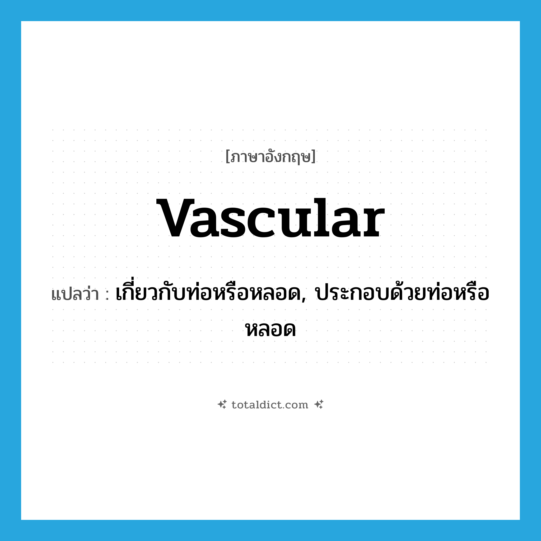 vascular แปลว่า?, คำศัพท์ภาษาอังกฤษ vascular แปลว่า เกี่ยวกับท่อหรือหลอด, ประกอบด้วยท่อหรือหลอด ประเภท ADJ หมวด ADJ