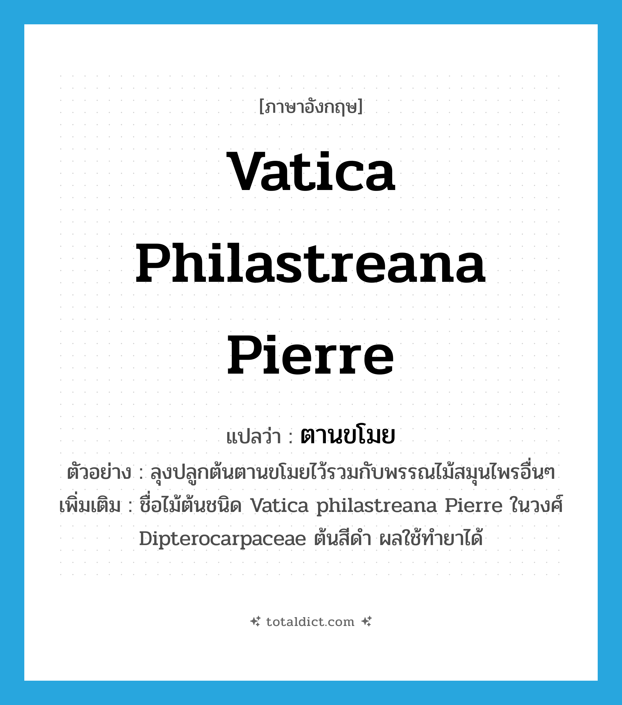 ตานขโมย ภาษาอังกฤษ?, คำศัพท์ภาษาอังกฤษ ตานขโมย แปลว่า Vatica philastreana Pierre ประเภท N ตัวอย่าง ลุงปลูกต้นตานขโมยไว้รวมกับพรรณไม้สมุนไพรอื่นๆ เพิ่มเติม ชื่อไม้ต้นชนิด Vatica philastreana Pierre ในวงศ์ Dipterocarpaceae ต้นสีดำ ผลใช้ทำยาได้ หมวด N