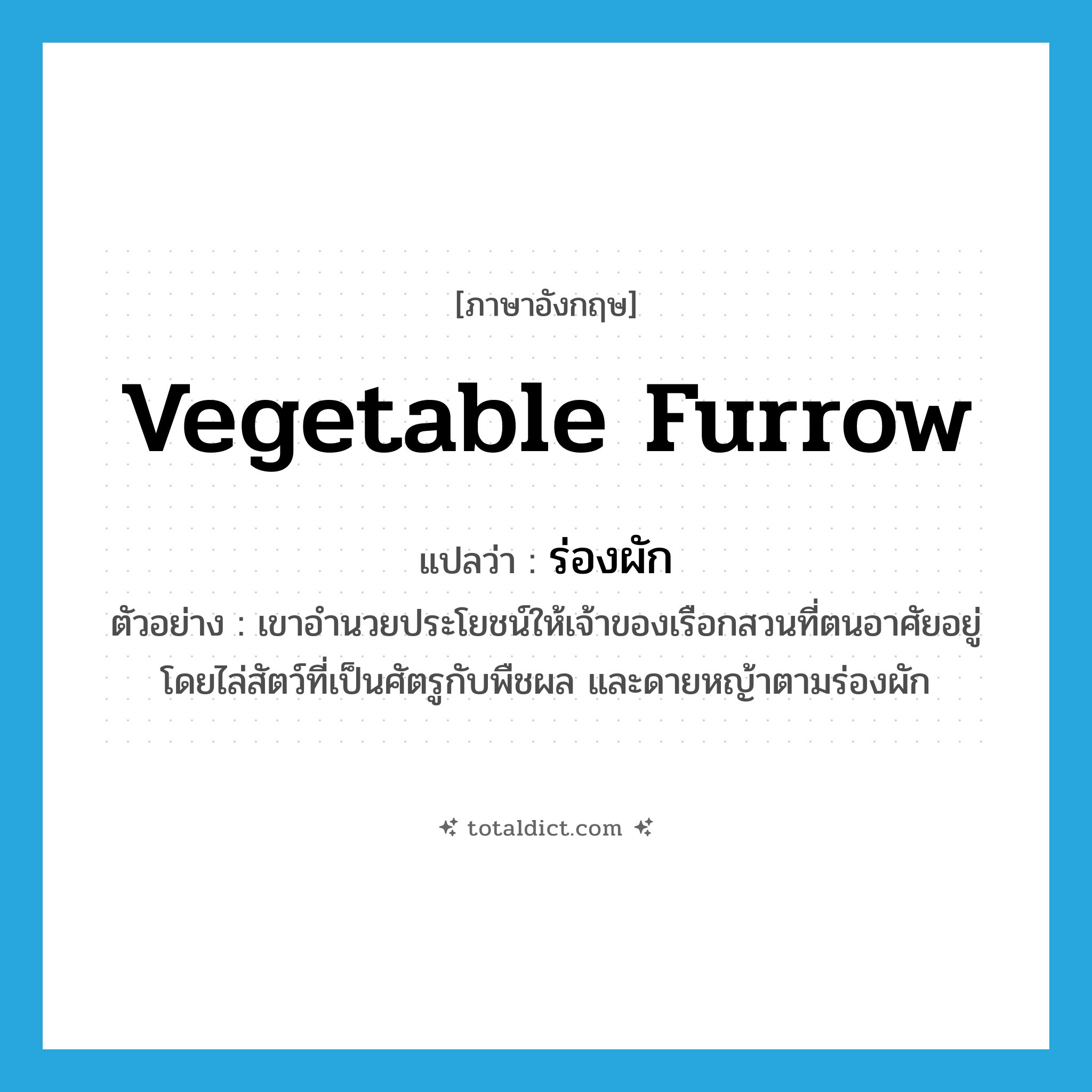 vegetable furrow แปลว่า?, คำศัพท์ภาษาอังกฤษ vegetable furrow แปลว่า ร่องผัก ประเภท N ตัวอย่าง เขาอำนวยประโยชน์ให้เจ้าของเรือกสวนที่ตนอาศัยอยู่ โดยไล่สัตว์ที่เป็นศัตรูกับพืชผล และดายหญ้าตามร่องผัก หมวด N