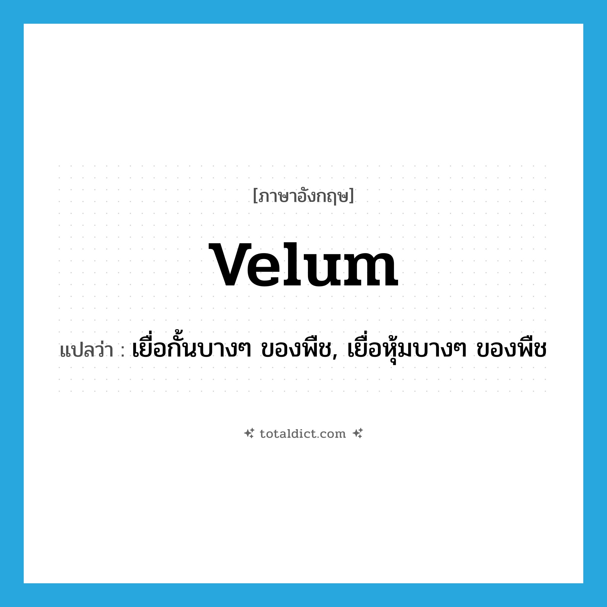 velum แปลว่า?, คำศัพท์ภาษาอังกฤษ velum แปลว่า เยื่อกั้นบางๆ ของพืช, เยื่อหุ้มบางๆ ของพืช ประเภท N หมวด N