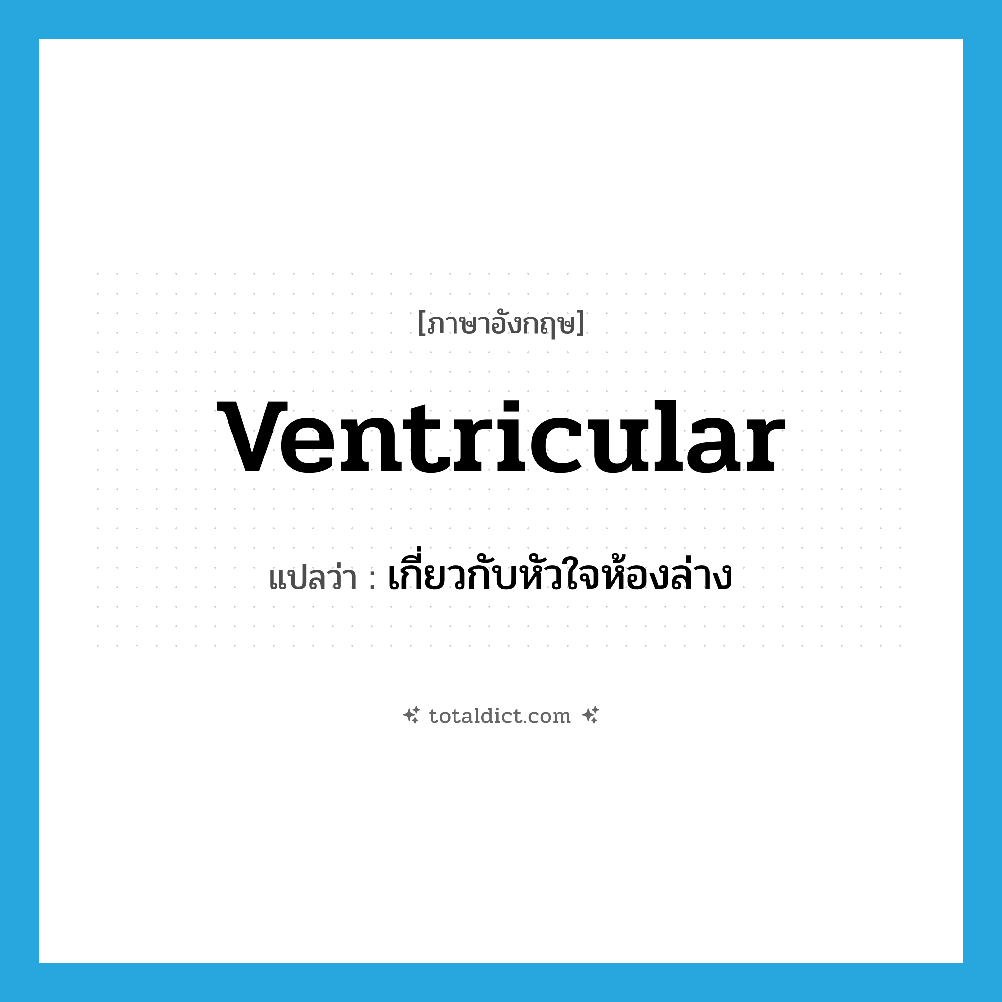 ventricular แปลว่า?, คำศัพท์ภาษาอังกฤษ ventricular แปลว่า เกี่ยวกับหัวใจห้องล่าง ประเภท ADJ หมวด ADJ