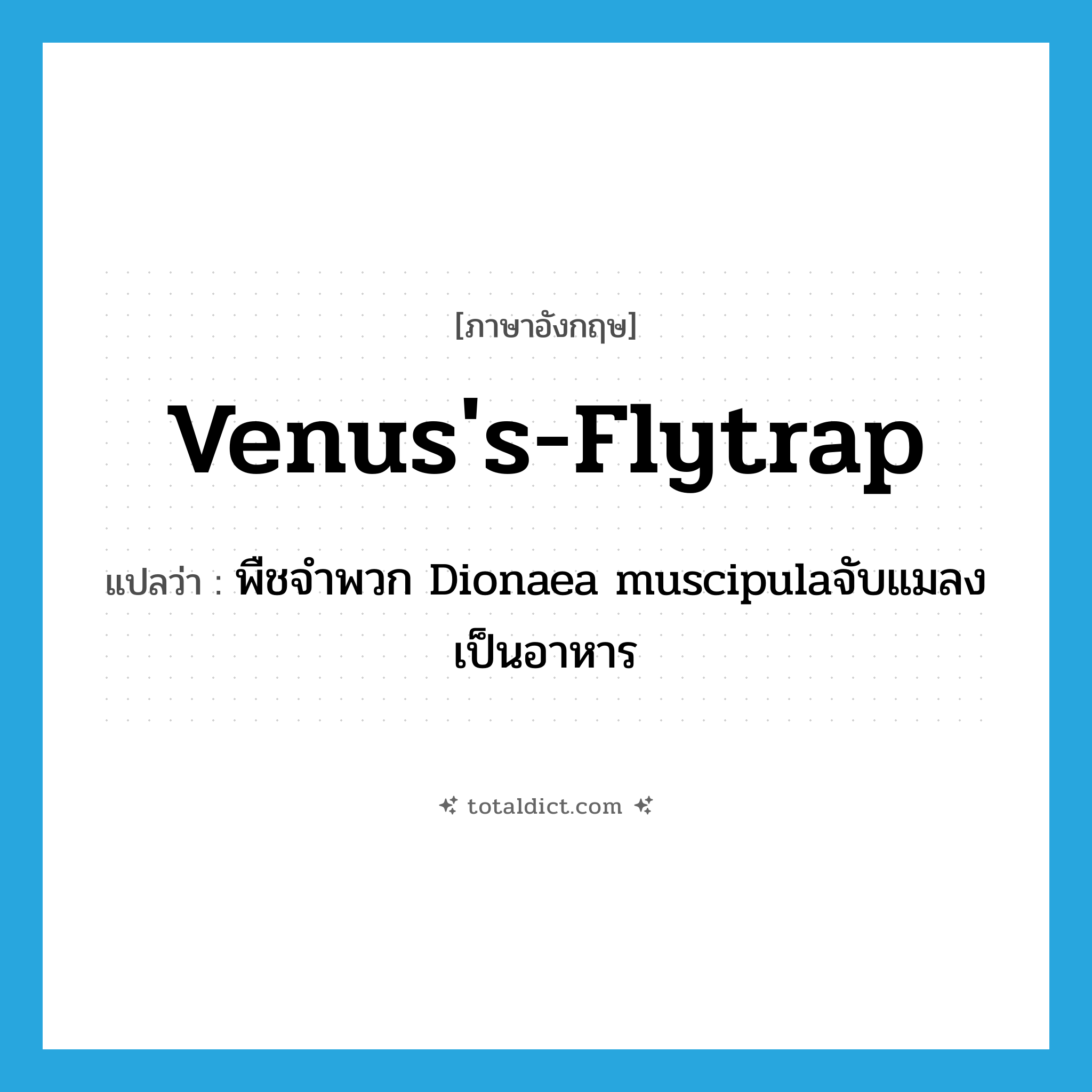 Venus&#39;s-flytrap แปลว่า?, คำศัพท์ภาษาอังกฤษ Venus&#39;s-flytrap แปลว่า พืชจำพวก Dionaea muscipulaจับแมลงเป็นอาหาร ประเภท N หมวด N