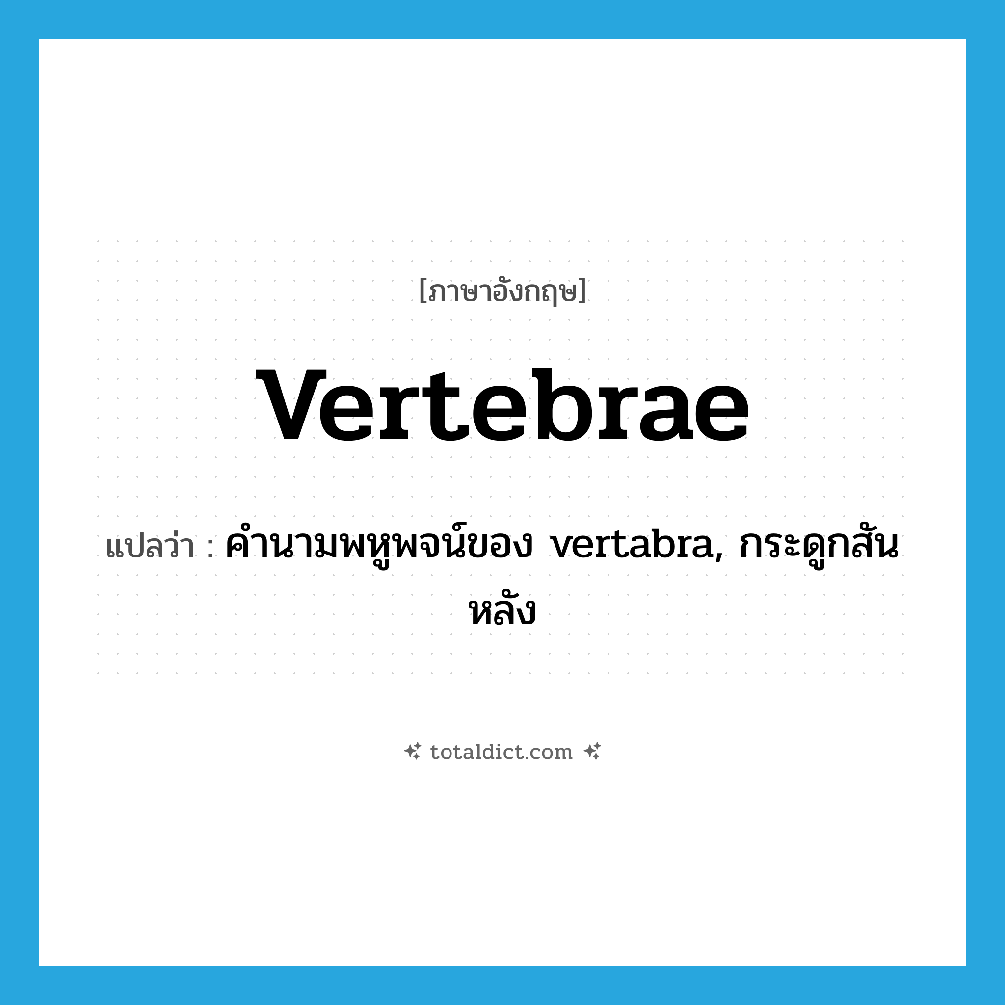 vertebrae แปลว่า?, คำศัพท์ภาษาอังกฤษ vertebrae แปลว่า คำนามพหูพจน์ของ vertabra, กระดูกสันหลัง ประเภท N หมวด N