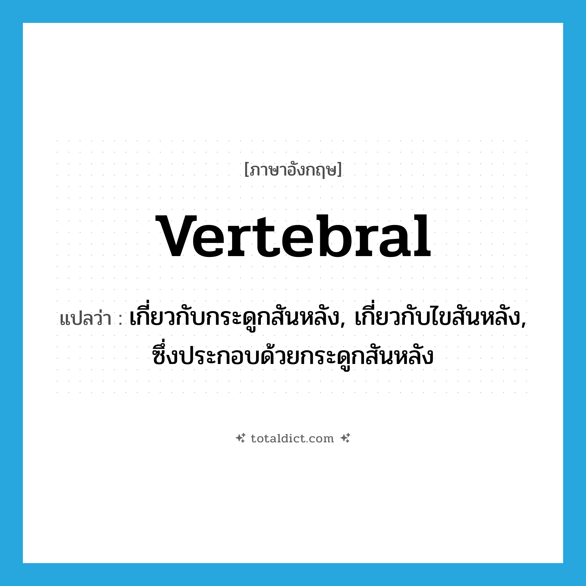 vertebral แปลว่า?, คำศัพท์ภาษาอังกฤษ vertebral แปลว่า เกี่ยวกับกระดูกสันหลัง, เกี่ยวกับไขสันหลัง, ซึ่งประกอบด้วยกระดูกสันหลัง ประเภท ADJ หมวด ADJ
