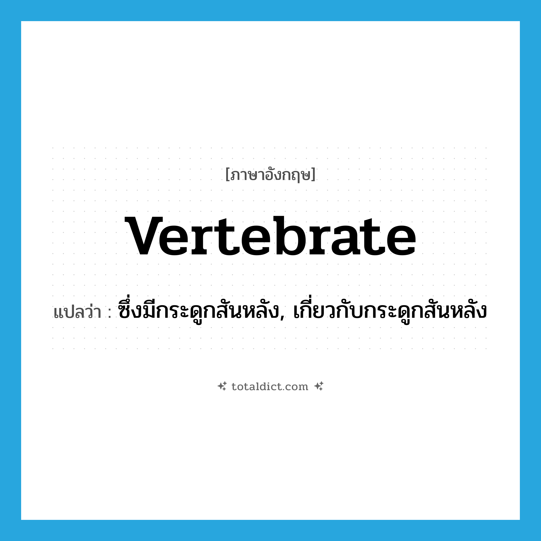 vertebrate แปลว่า?, คำศัพท์ภาษาอังกฤษ vertebrate แปลว่า ซึ่งมีกระดูกสันหลัง, เกี่ยวกับกระดูกสันหลัง ประเภท ADJ หมวด ADJ