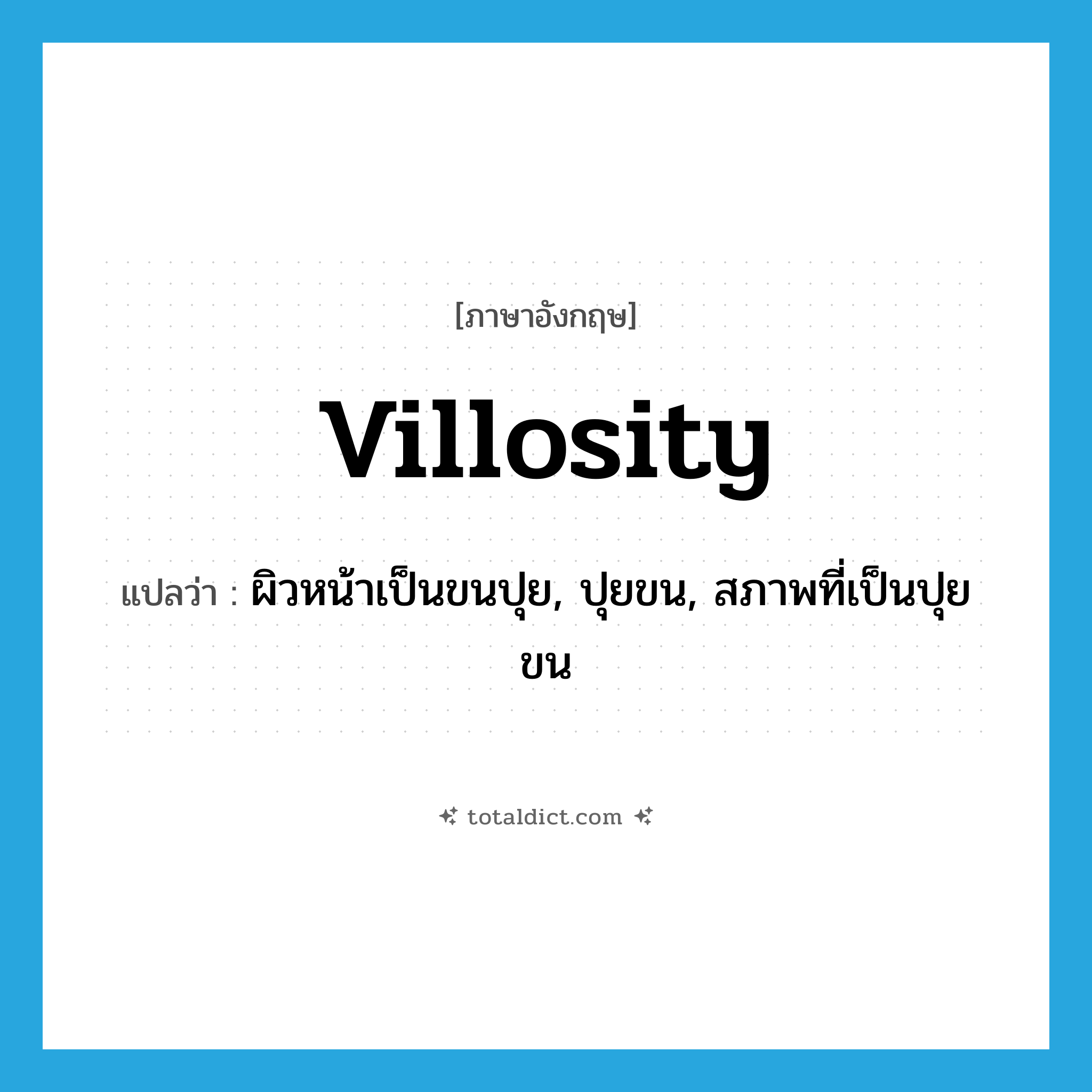 villosity แปลว่า?, คำศัพท์ภาษาอังกฤษ villosity แปลว่า ผิวหน้าเป็นขนปุย, ปุยขน, สภาพที่เป็นปุยขน ประเภท N หมวด N