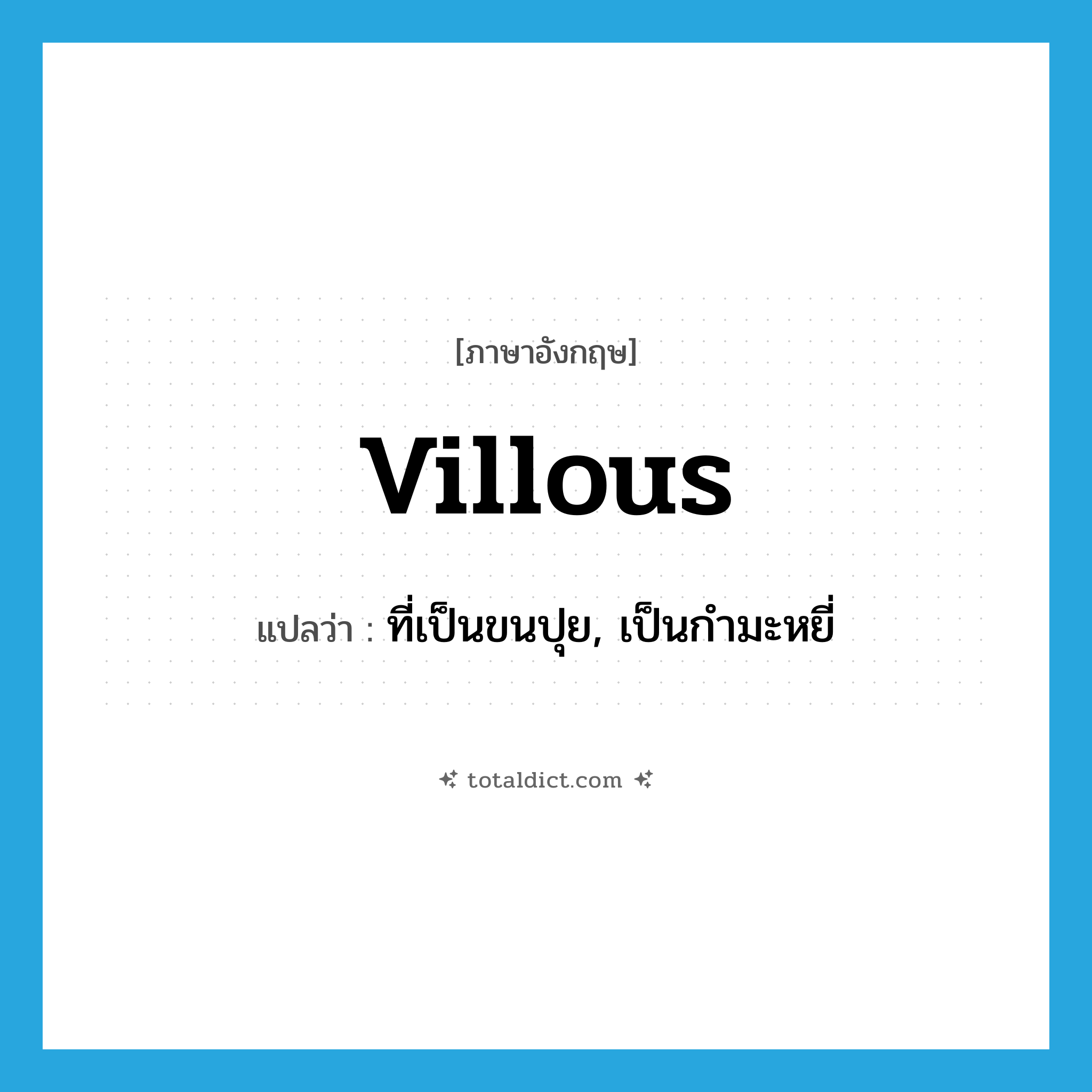 villous แปลว่า?, คำศัพท์ภาษาอังกฤษ villous แปลว่า ที่เป็นขนปุย, เป็นกำมะหยี่ ประเภท ADJ หมวด ADJ