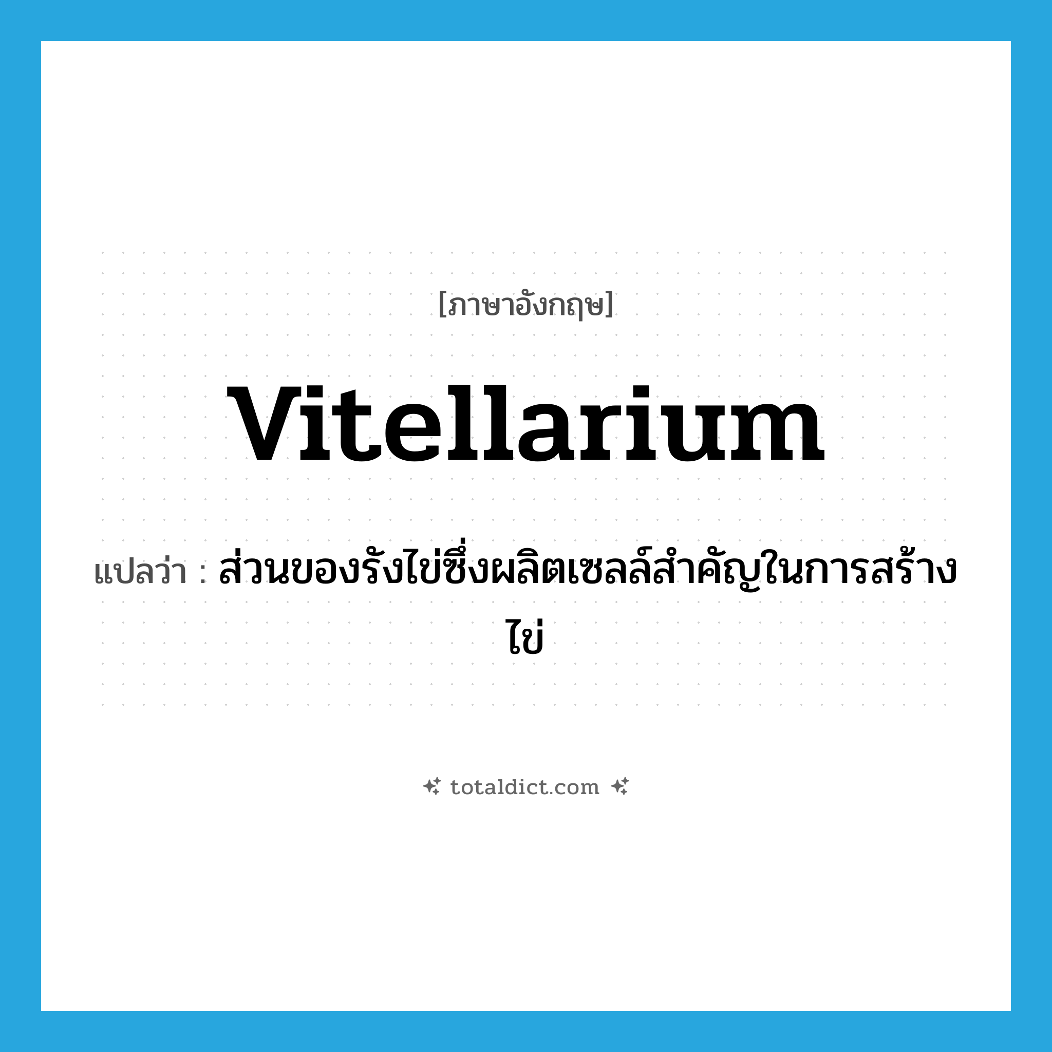 vitellarium แปลว่า?, คำศัพท์ภาษาอังกฤษ vitellarium แปลว่า ส่วนของรังไข่ซึ่งผลิตเซลล์สำคัญในการสร้างไข่ ประเภท N หมวด N