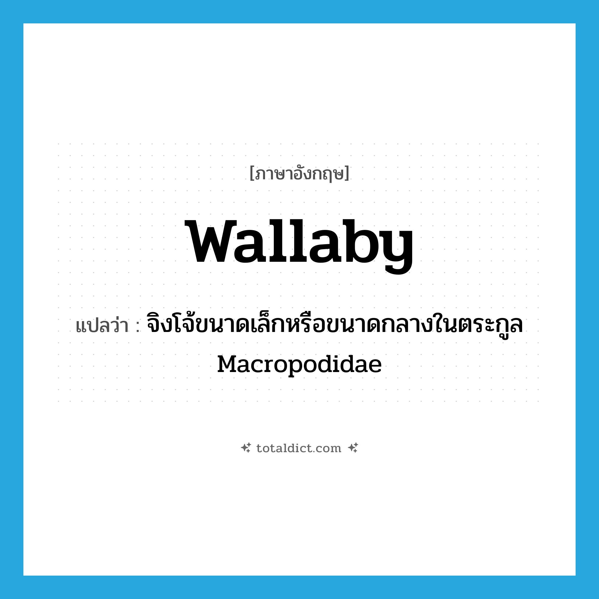 wallaby แปลว่า?, คำศัพท์ภาษาอังกฤษ wallaby แปลว่า จิงโจ้ขนาดเล็กหรือขนาดกลางในตระกูล Macropodidae ประเภท N หมวด N