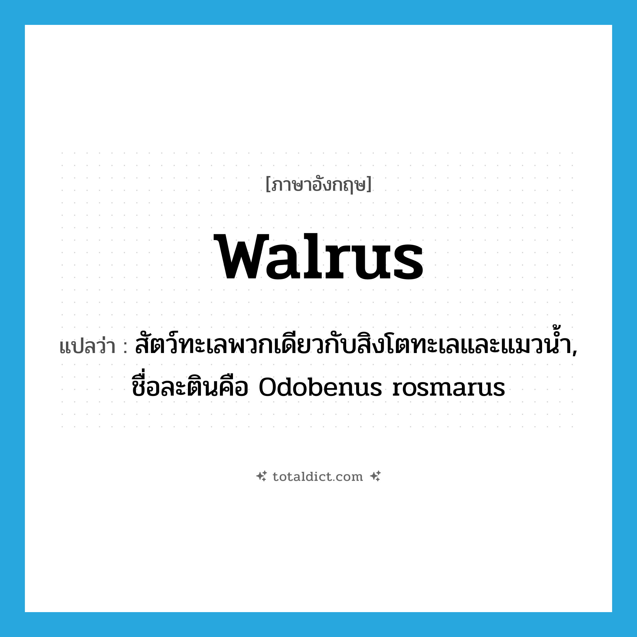 walrus แปลว่า?, คำศัพท์ภาษาอังกฤษ walrus แปลว่า สัตว์ทะเลพวกเดียวกับสิงโตทะเลและแมวน้ำ, ชื่อละตินคือ Odobenus rosmarus ประเภท N หมวด N