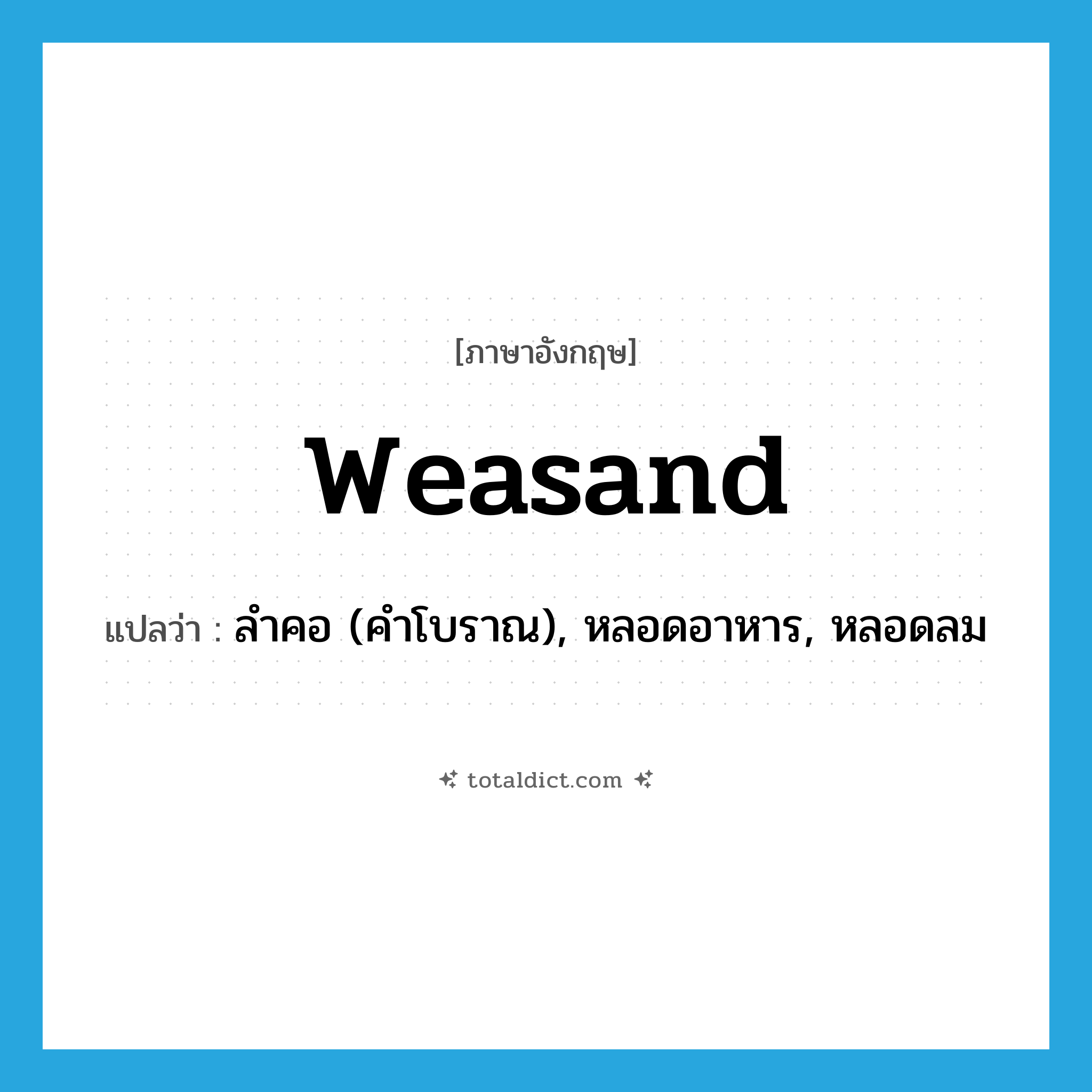 weasand แปลว่า?, คำศัพท์ภาษาอังกฤษ weasand แปลว่า ลำคอ (คำโบราณ), หลอดอาหาร, หลอดลม ประเภท N หมวด N
