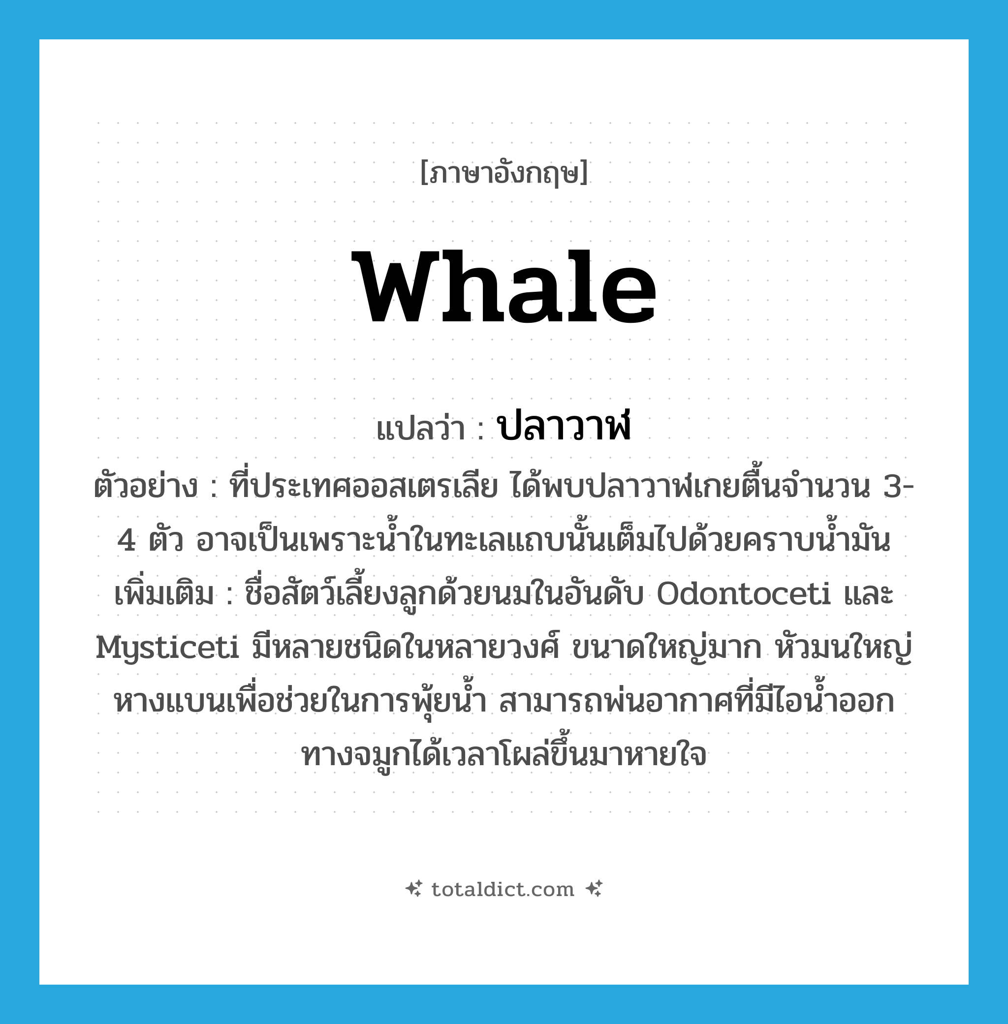 whale แปลว่า?, คำศัพท์ภาษาอังกฤษ whale แปลว่า ปลาวาฬ ประเภท N ตัวอย่าง ที่ประเทศออสเตรเลีย ได้พบปลาวาฬเกยตื้นจำนวน 3-4 ตัว อาจเป็นเพราะน้ำในทะเลแถบนั้นเต็มไปด้วยคราบน้ำมัน เพิ่มเติม ชื่อสัตว์เลี้ยงลูกด้วยนมในอันดับ Odontoceti และ Mysticeti มีหลายชนิดในหลายวงศ์ ขนาดใหญ่มาก หัวมนใหญ่ หางแบนเพื่อช่วยในการพุ้ยน้ำ สามารถพ่นอากาศที่มีไอน้ำออกทางจมูกได้เวลาโผล่ขึ้นมาหายใจ หมวด N