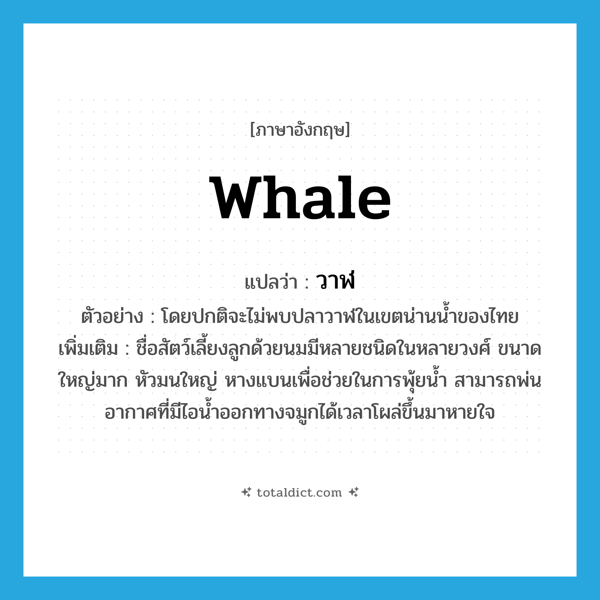 whale แปลว่า?, คำศัพท์ภาษาอังกฤษ whale แปลว่า วาฬ ประเภท N ตัวอย่าง โดยปกติจะไม่พบปลาวาฬในเขตน่านน้ำของไทย เพิ่มเติม ชื่อสัตว์เลี้ยงลูกด้วยนมมีหลายชนิดในหลายวงศ์ ขนาดใหญ่มาก หัวมนใหญ่ หางแบนเพื่อช่วยในการพุ้ยน้ำ สามารถพ่นอากาศที่มีไอน้ำออกทางจมูกได้เวลาโผล่ขึ้นมาหายใจ หมวด N