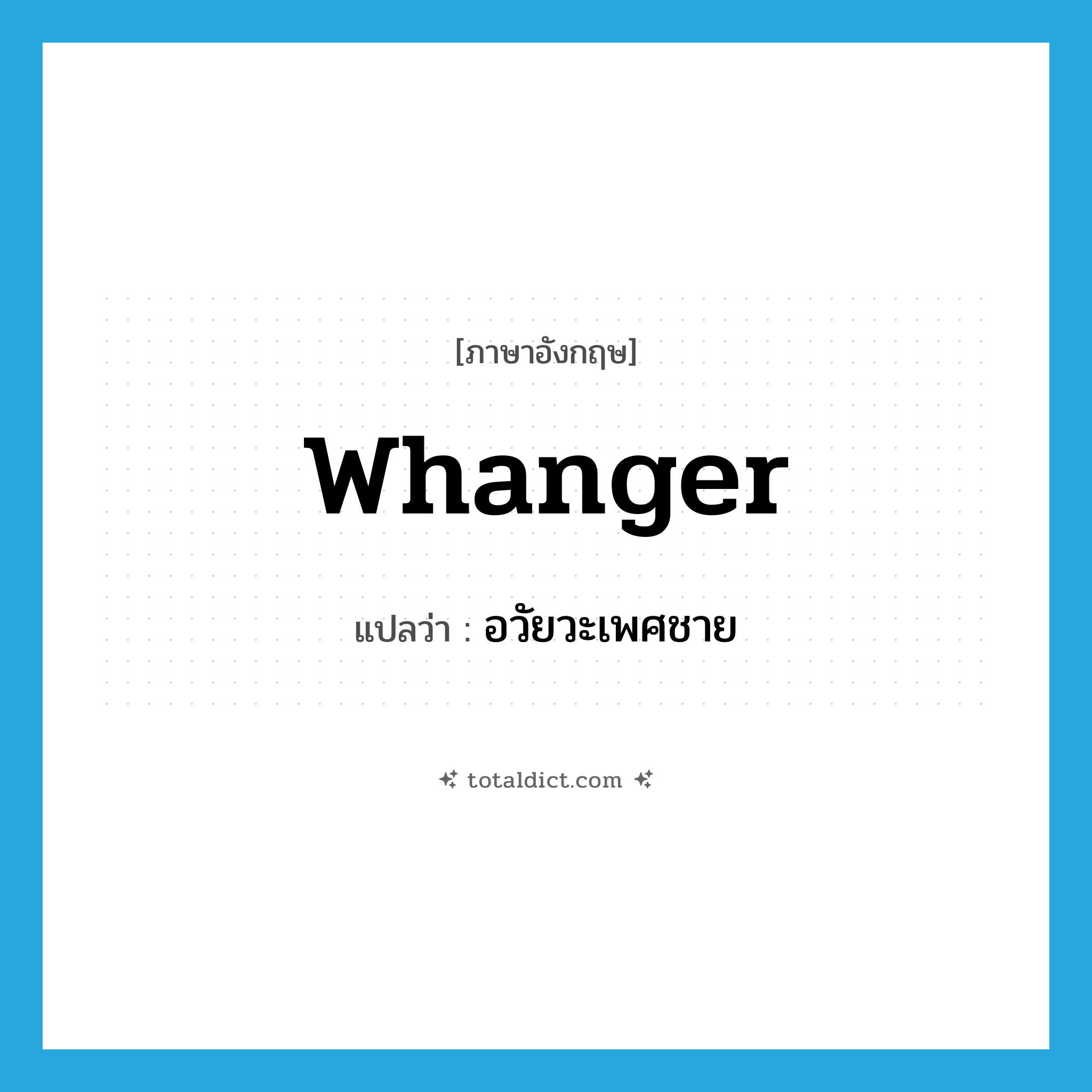 อวัยวะเพศชาย ภาษาอังกฤษ?, คำศัพท์ภาษาอังกฤษ อวัยวะเพศชาย แปลว่า whanger ประเภท SL หมวด SL
