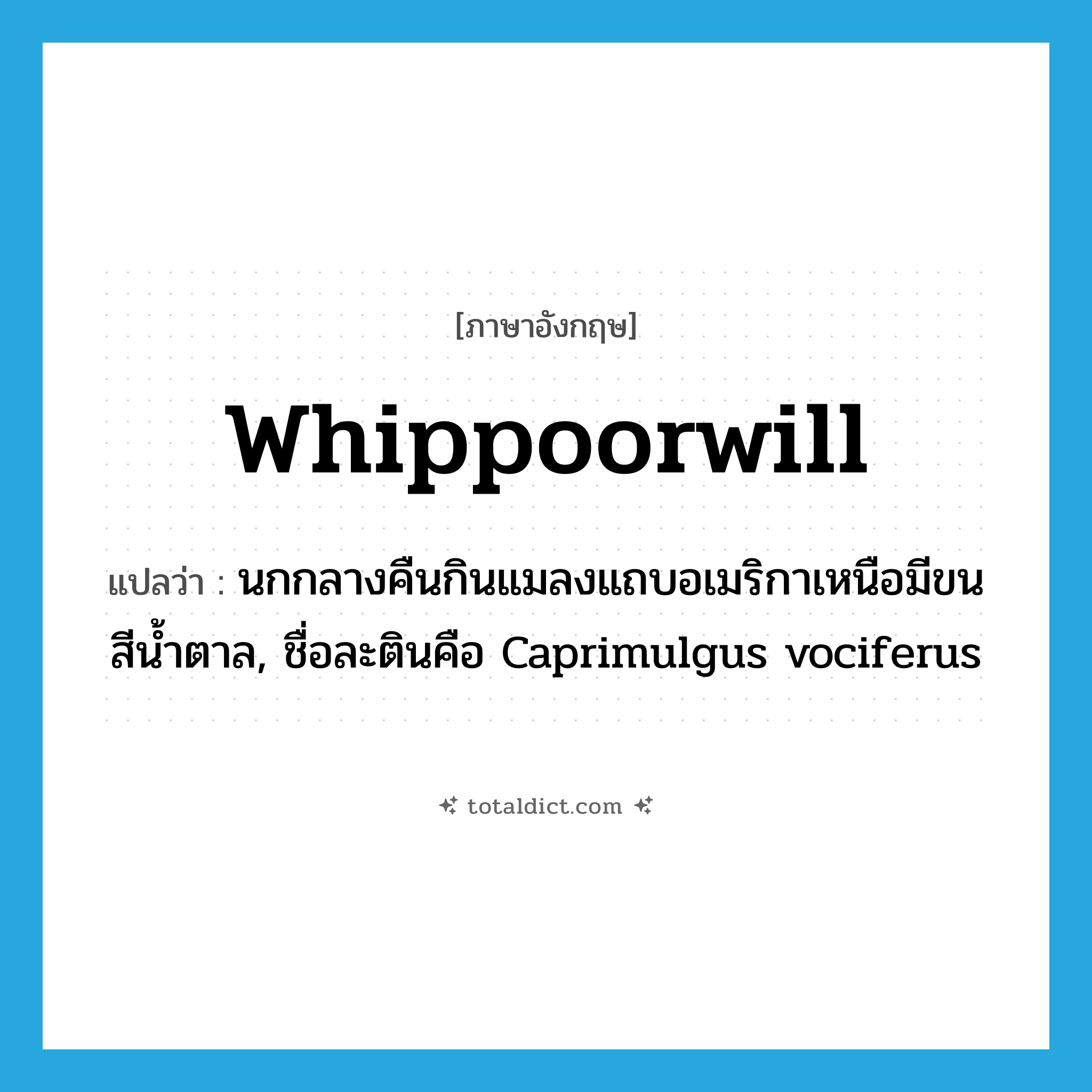 whippoorwill แปลว่า?, คำศัพท์ภาษาอังกฤษ whippoorwill แปลว่า นกกลางคืนกินแมลงแถบอเมริกาเหนือมีขนสีน้ำตาล, ชื่อละตินคือ Caprimulgus vociferus ประเภท N หมวด N