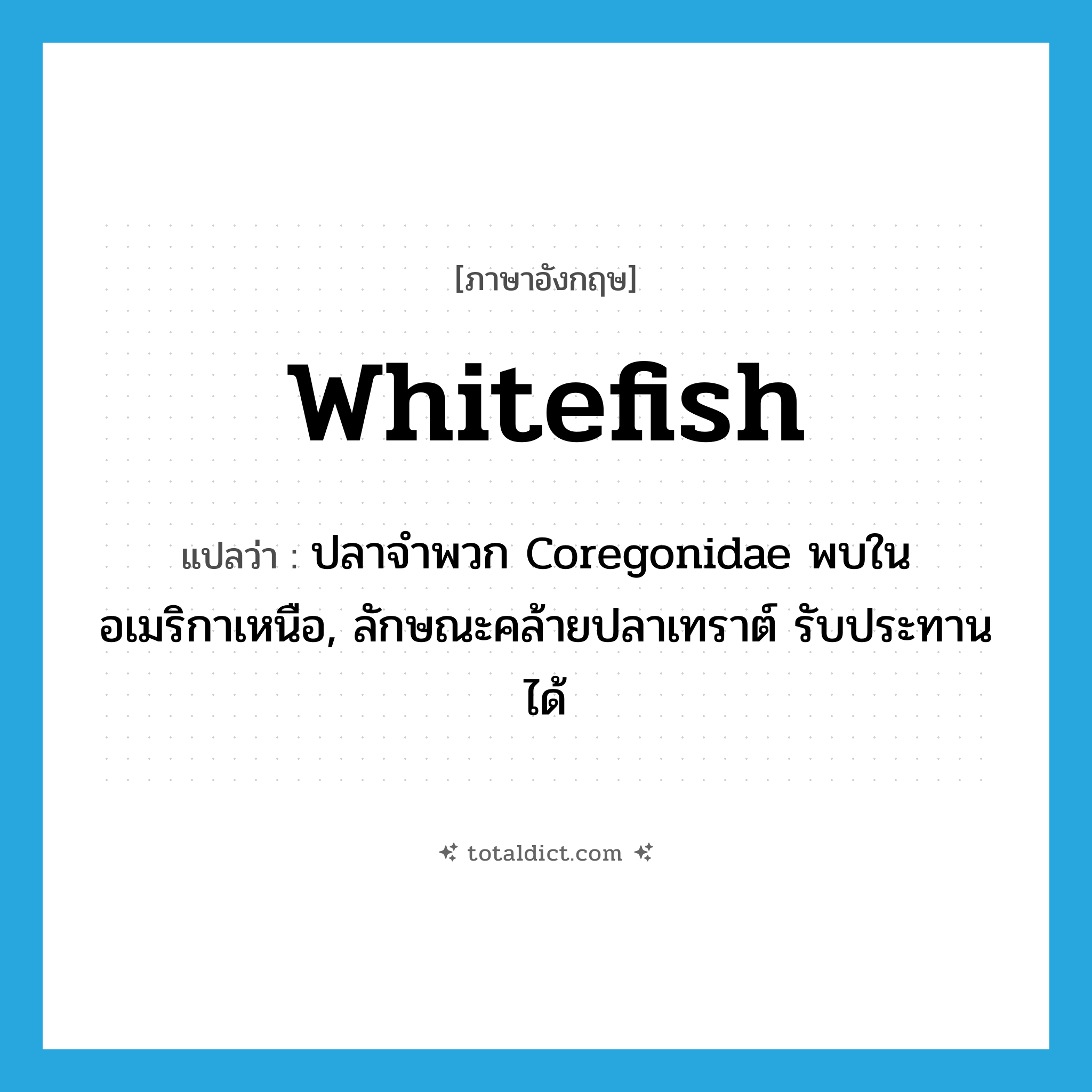 whitefish แปลว่า?, คำศัพท์ภาษาอังกฤษ whitefish แปลว่า ปลาจำพวก Coregonidae พบในอเมริกาเหนือ, ลักษณะคล้ายปลาเทราต์ รับประทานได้ ประเภท N หมวด N