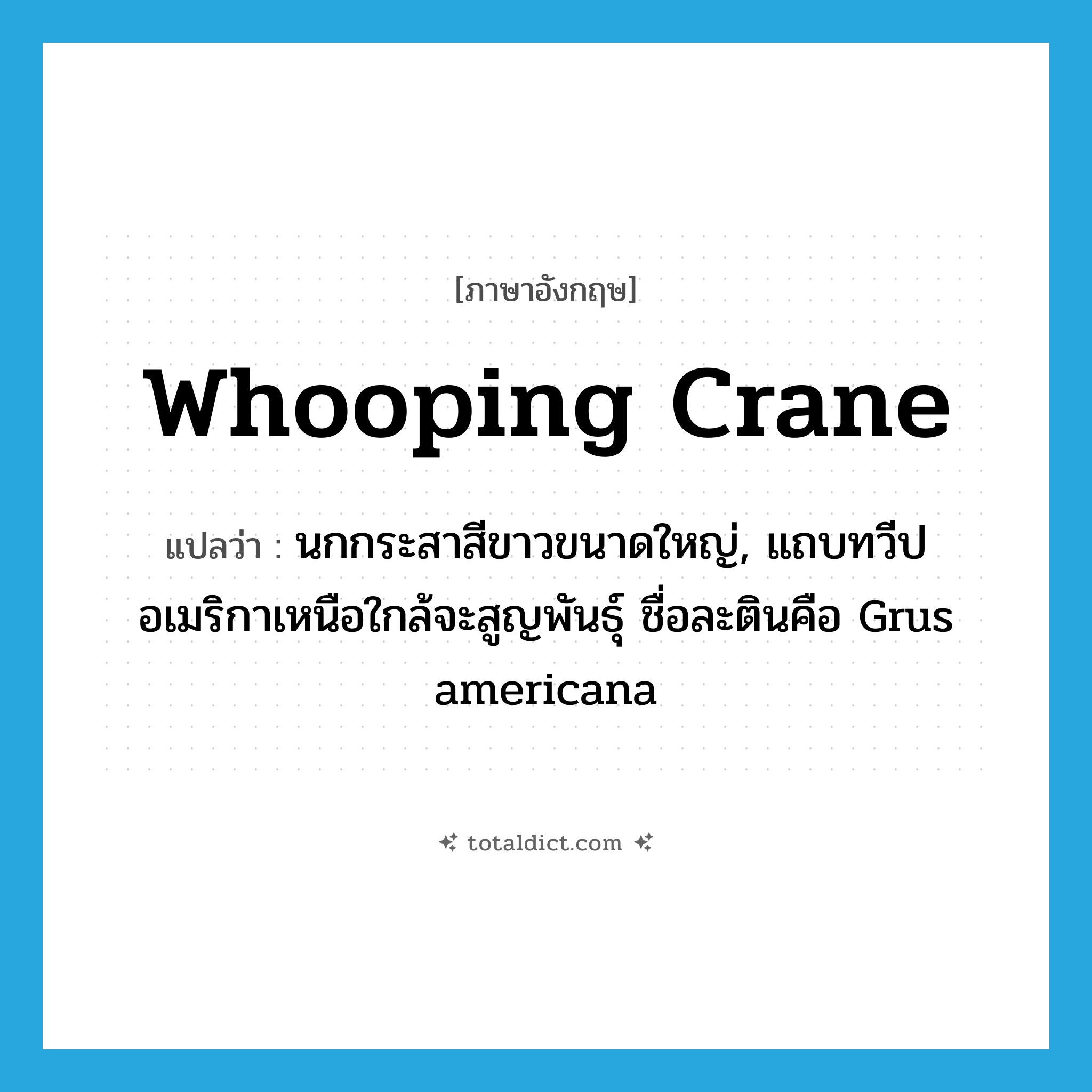 whooping crane แปลว่า?, คำศัพท์ภาษาอังกฤษ whooping crane แปลว่า นกกระสาสีขาวขนาดใหญ่, แถบทวีปอเมริกาเหนือใกล้จะสูญพันธุ์ ชื่อละตินคือ Grus americana ประเภท N หมวด N