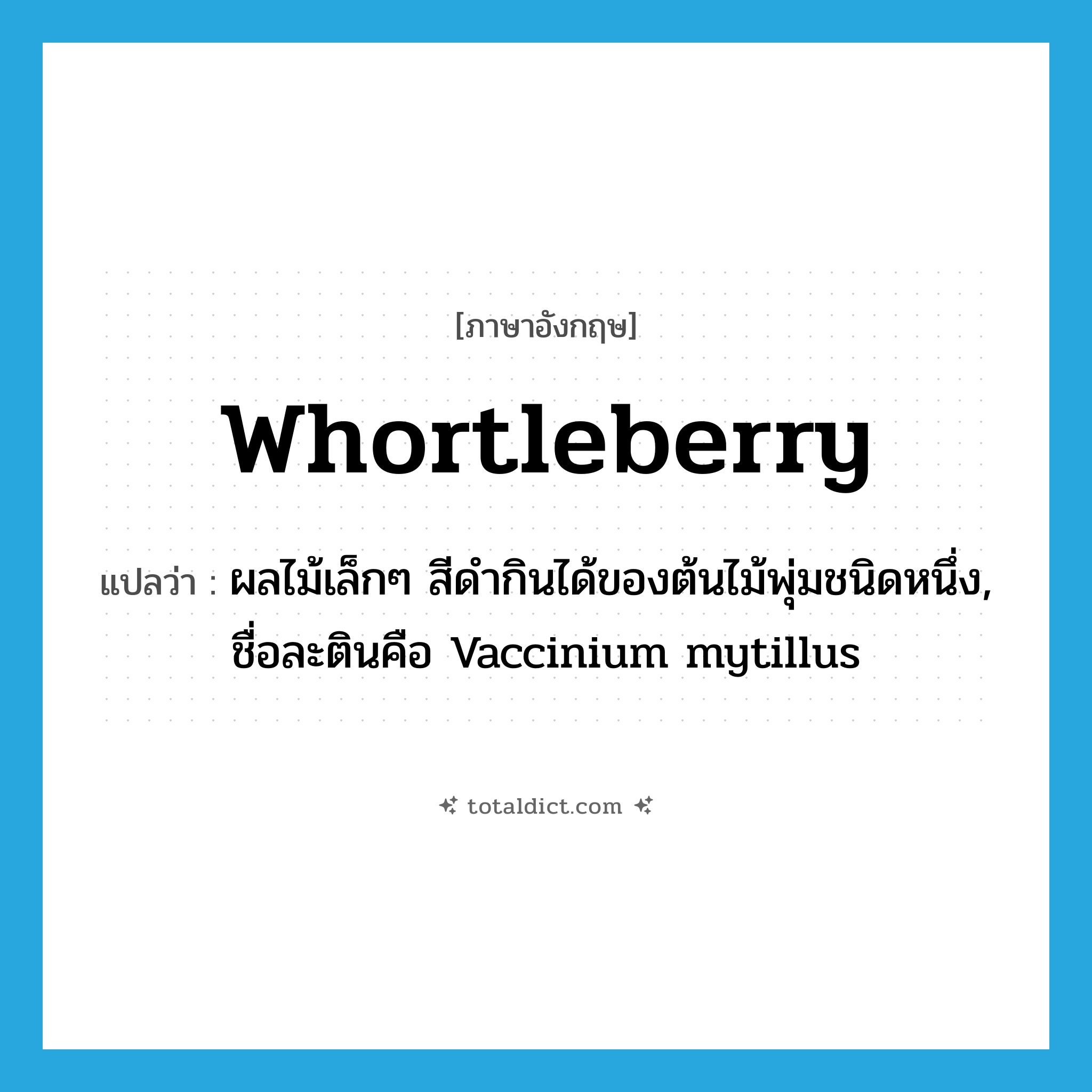 whortleberry แปลว่า?, คำศัพท์ภาษาอังกฤษ whortleberry แปลว่า ผลไม้เล็กๆ สีดำกินได้ของต้นไม้พุ่มชนิดหนึ่ง, ชื่อละตินคือ Vaccinium mytillus ประเภท N หมวด N
