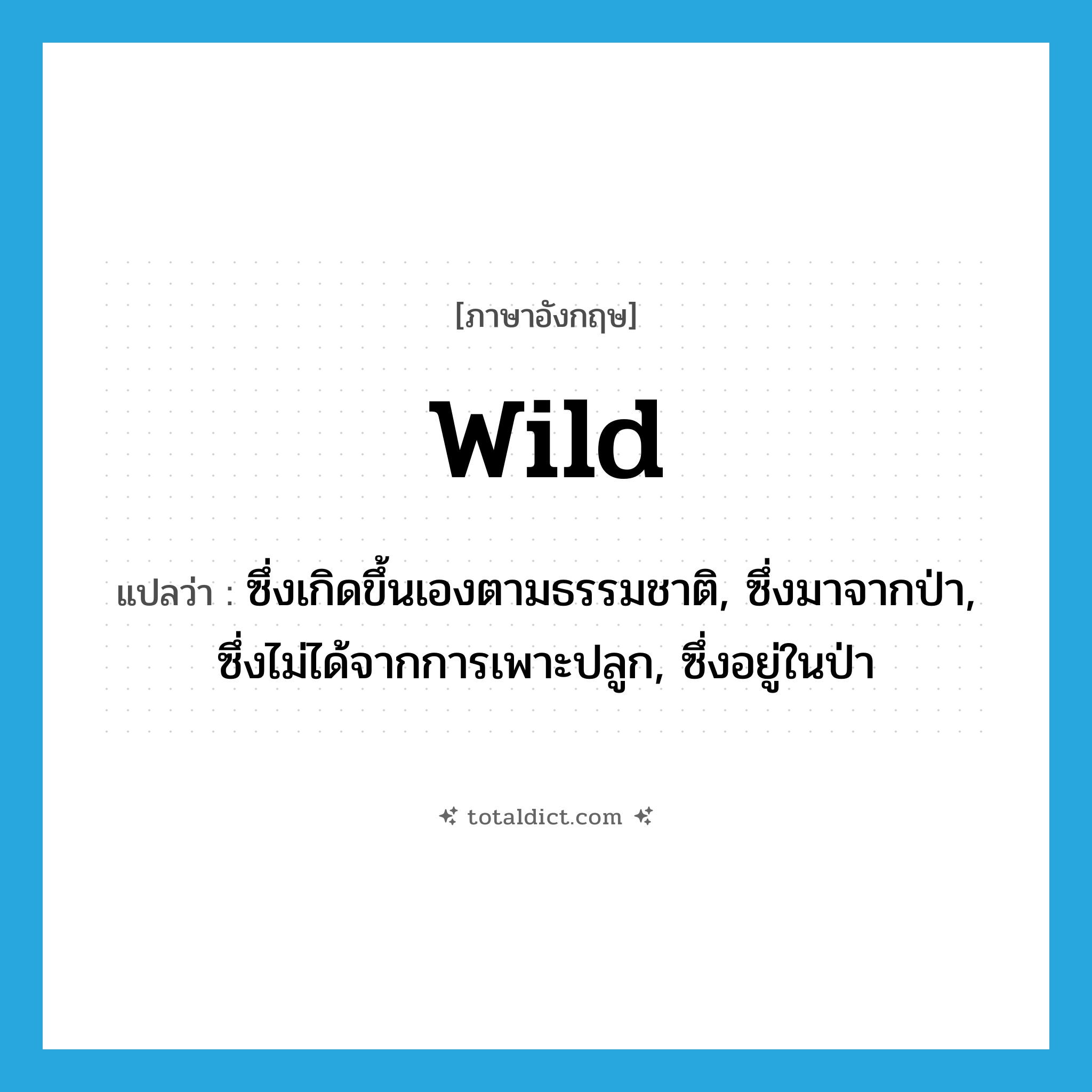 wild แปลว่า?, คำศัพท์ภาษาอังกฤษ wild แปลว่า ซึ่งเกิดขึ้นเองตามธรรมชาติ, ซึ่งมาจากป่า, ซึ่งไม่ได้จากการเพาะปลูก, ซึ่งอยู่ในป่า ประเภท ADJ หมวด ADJ