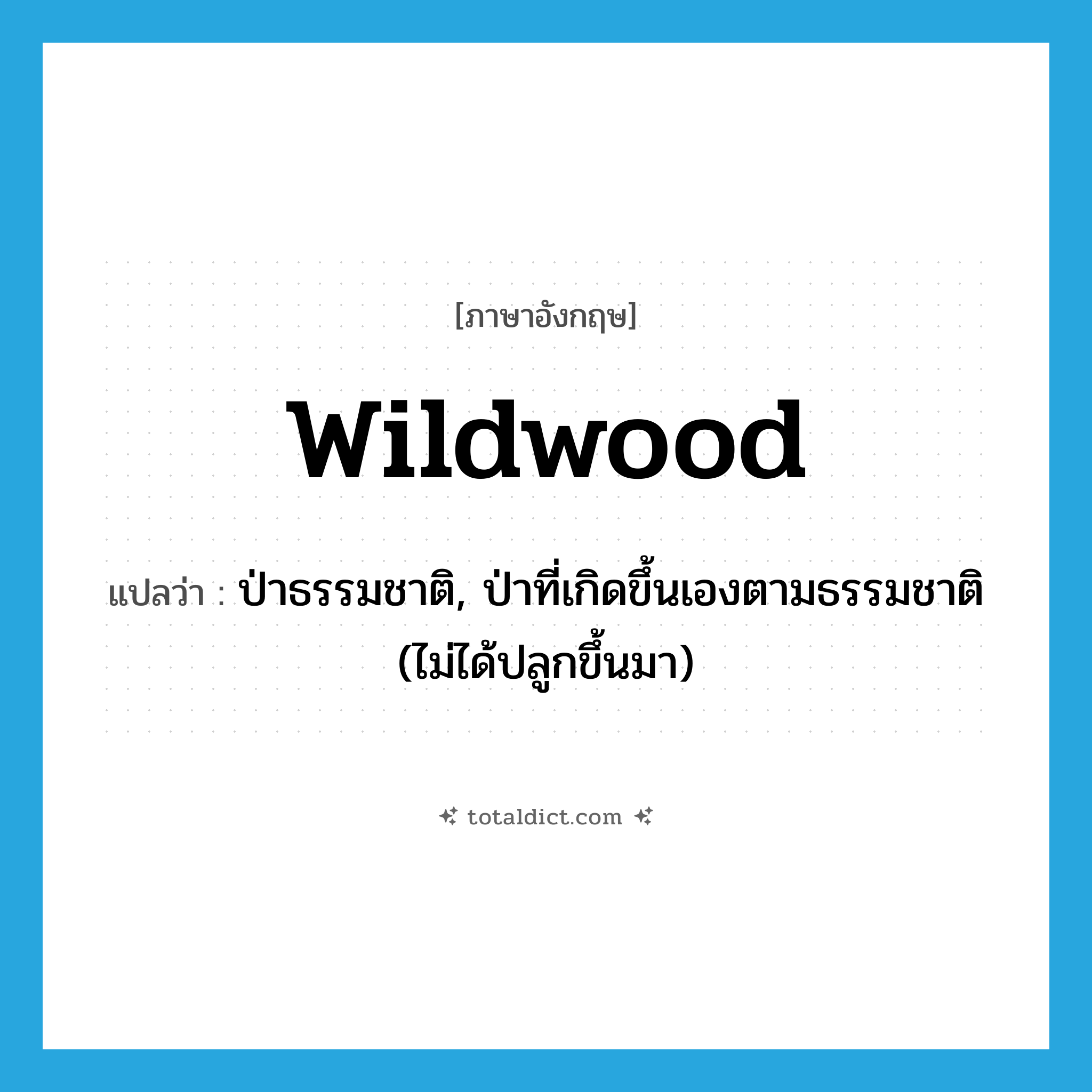 wildwood แปลว่า?, คำศัพท์ภาษาอังกฤษ wildwood แปลว่า ป่าธรรมชาติ, ป่าที่เกิดขึ้นเองตามธรรมชาติ (ไม่ได้ปลูกขึ้นมา) ประเภท N หมวด N