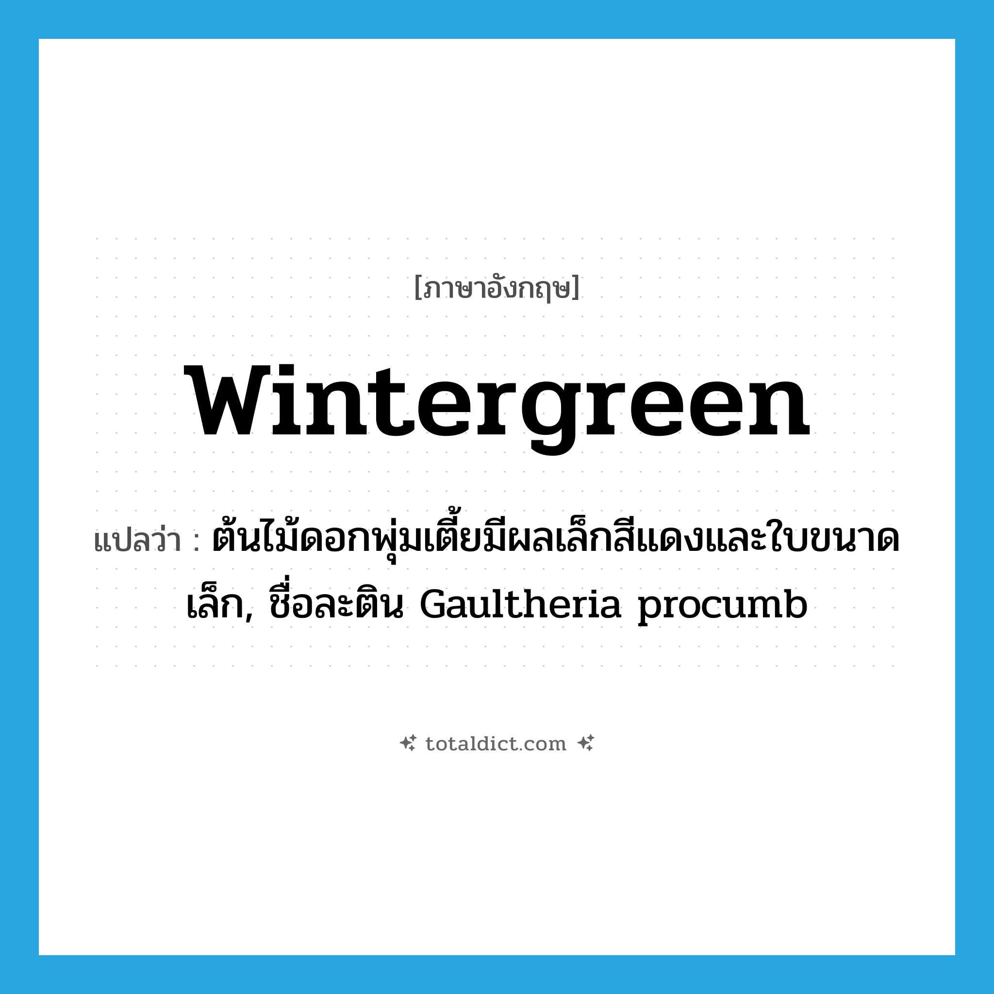 wintergreen แปลว่า?, คำศัพท์ภาษาอังกฤษ wintergreen แปลว่า ต้นไม้ดอกพุ่มเตี้ยมีผลเล็กสีแดงและใบขนาดเล็ก, ชื่อละติน Gaultheria procumb ประเภท N หมวด N