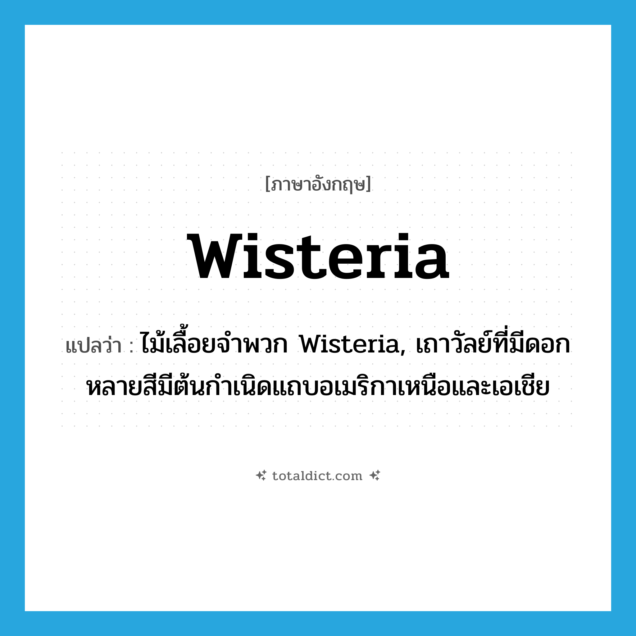 wisteria แปลว่า?, คำศัพท์ภาษาอังกฤษ wisteria แปลว่า ไม้เลื้อยจำพวก Wisteria, เถาวัลย์ที่มีดอกหลายสีมีต้นกำเนิดแถบอเมริกาเหนือและเอเชีย ประเภท N หมวด N