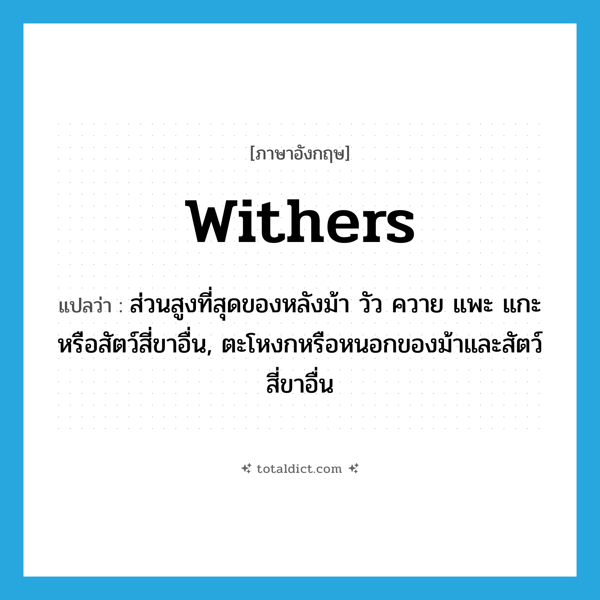 withers แปลว่า?, คำศัพท์ภาษาอังกฤษ withers แปลว่า ส่วนสูงที่สุดของหลังม้า วัว ควาย แพะ แกะหรือสัตว์สี่ขาอื่น, ตะโหงกหรือหนอกของม้าและสัตว์สี่ขาอื่น ประเภท N หมวด N
