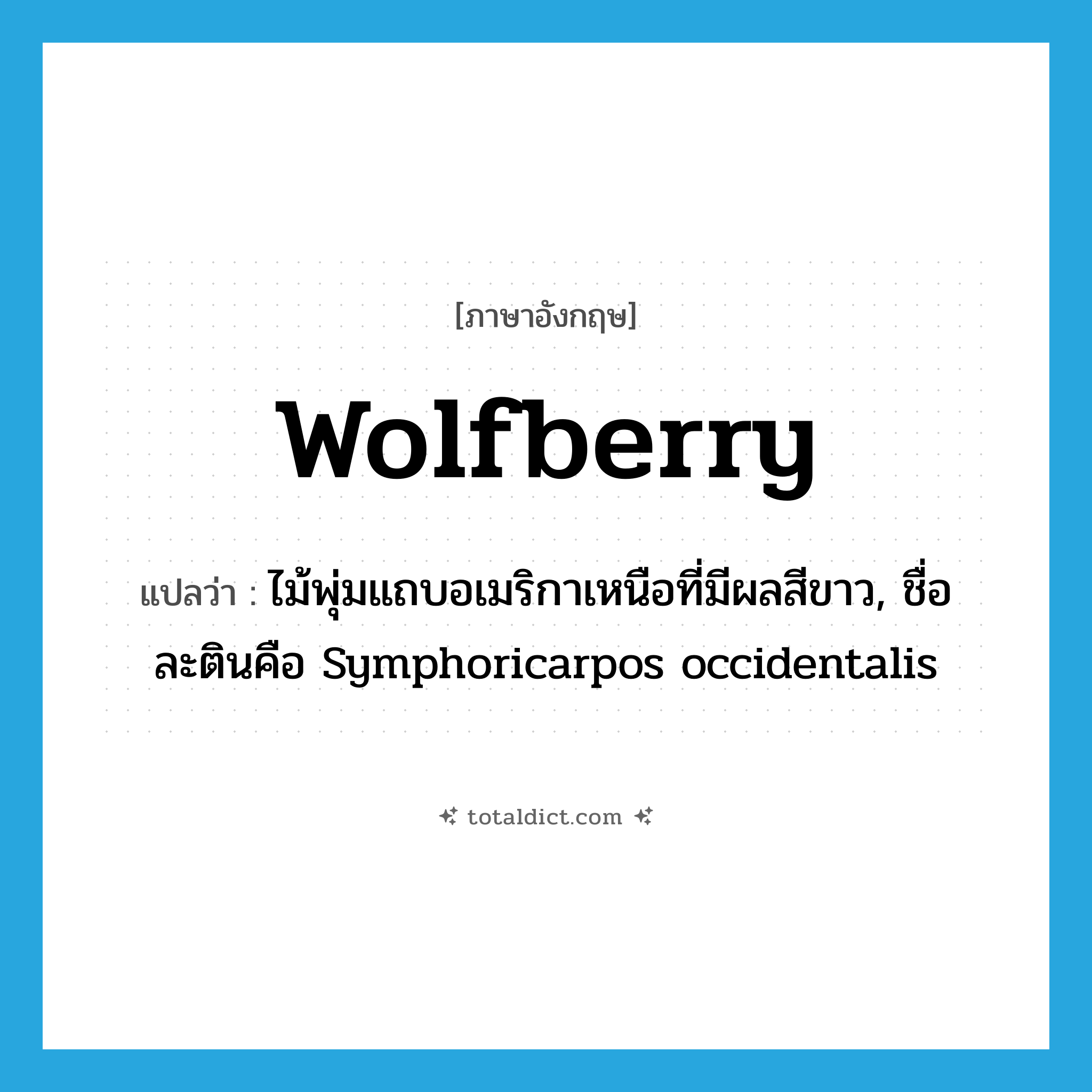 wolfberry แปลว่า?, คำศัพท์ภาษาอังกฤษ wolfberry แปลว่า ไม้พุ่มแถบอเมริกาเหนือที่มีผลสีขาว, ชื่อละตินคือ Symphoricarpos occidentalis ประเภท N หมวด N