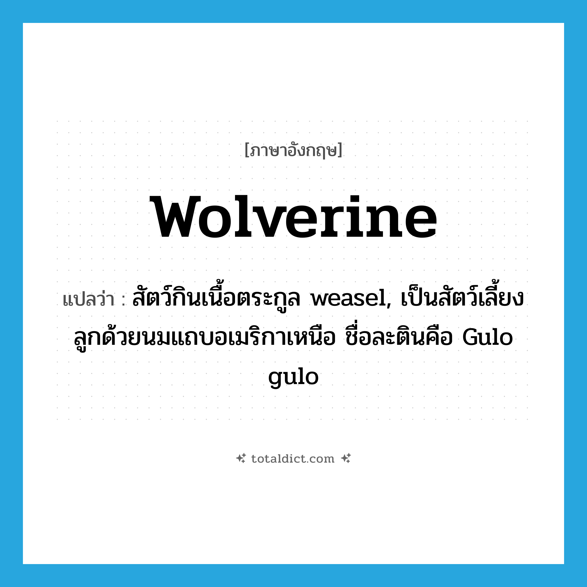 wolverine แปลว่า?, คำศัพท์ภาษาอังกฤษ wolverine แปลว่า สัตว์กินเนื้อตระกูล weasel, เป็นสัตว์เลี้ยงลูกด้วยนมแถบอเมริกาเหนือ ชื่อละตินคือ Gulo gulo ประเภท N หมวด N