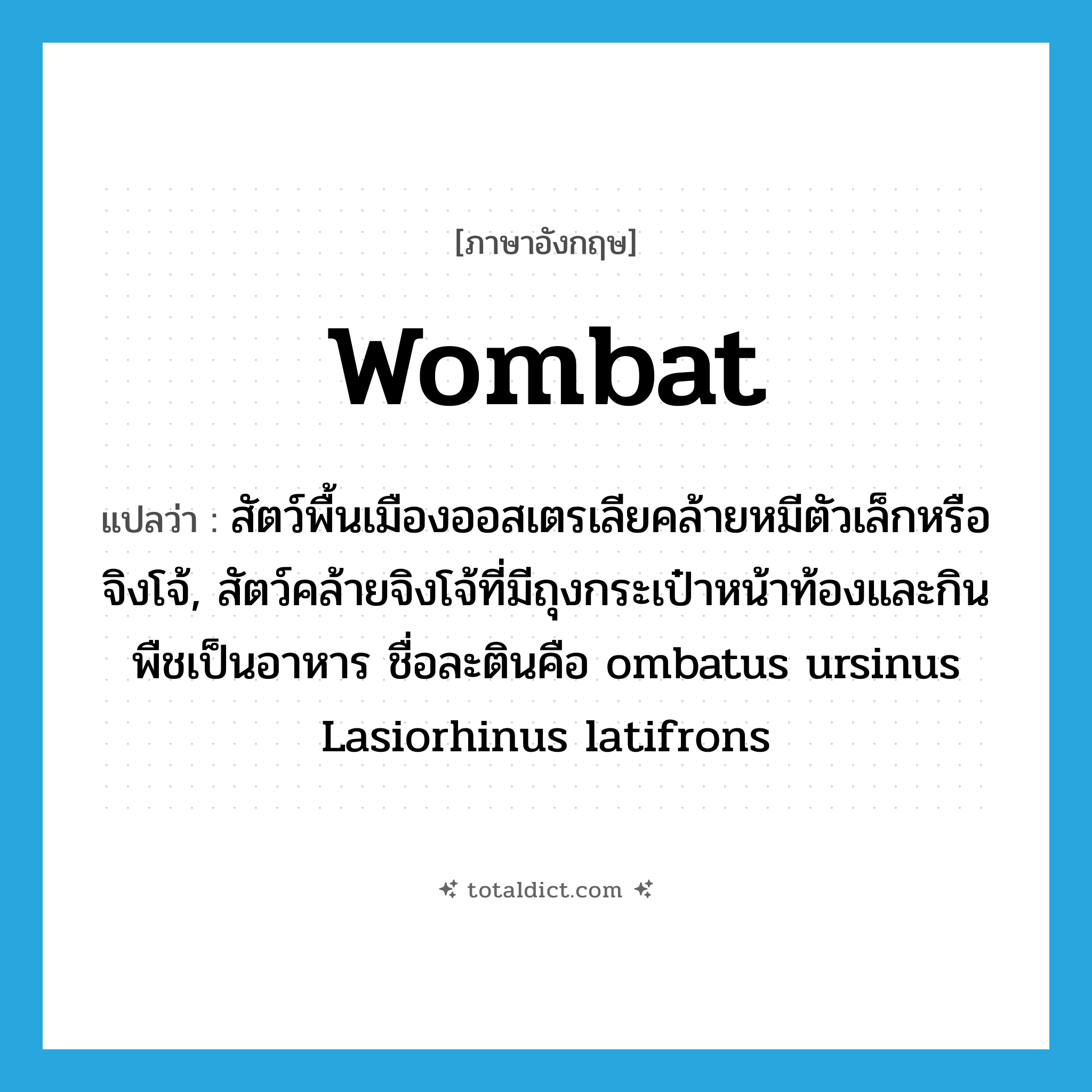 wombat แปลว่า?, คำศัพท์ภาษาอังกฤษ wombat แปลว่า สัตว์พื้นเมืองออสเตรเลียคล้ายหมีตัวเล็กหรือจิงโจ้, สัตว์คล้ายจิงโจ้ที่มีถุงกระเป๋าหน้าท้องและกินพืชเป็นอาหาร ชื่อละตินคือ ombatus ursinus Lasiorhinus latifrons ประเภท N หมวด N