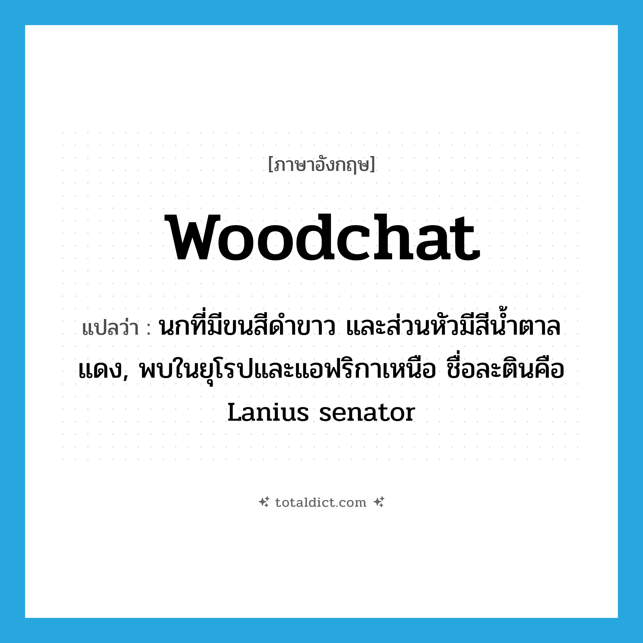 woodchat แปลว่า?, คำศัพท์ภาษาอังกฤษ woodchat แปลว่า นกที่มีขนสีดำขาว และส่วนหัวมีสีน้ำตาลแดง, พบในยุโรปและแอฟริกาเหนือ ชื่อละตินคือ Lanius senator ประเภท N หมวด N